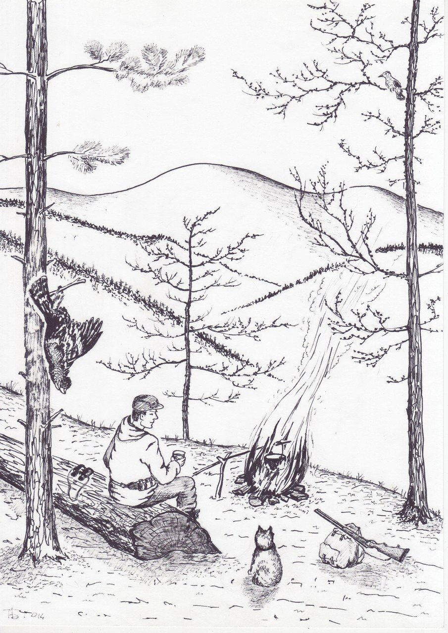 Васюткино озеро иллюстрация карандашом