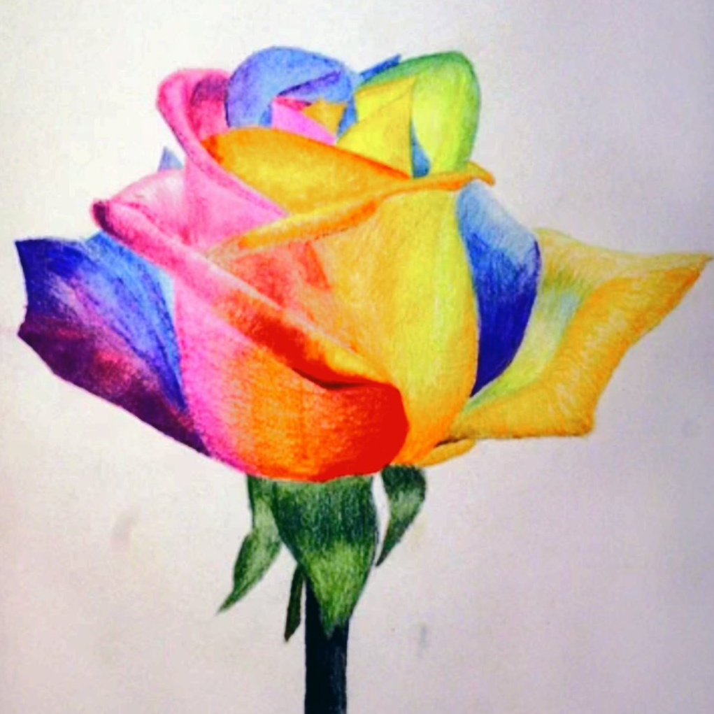Цветной цветок нарисованный. Цветы цветными карандашами. Рисование цветными карандашами. Рисунки цветные легкие. Рисунки цветными карандашами.