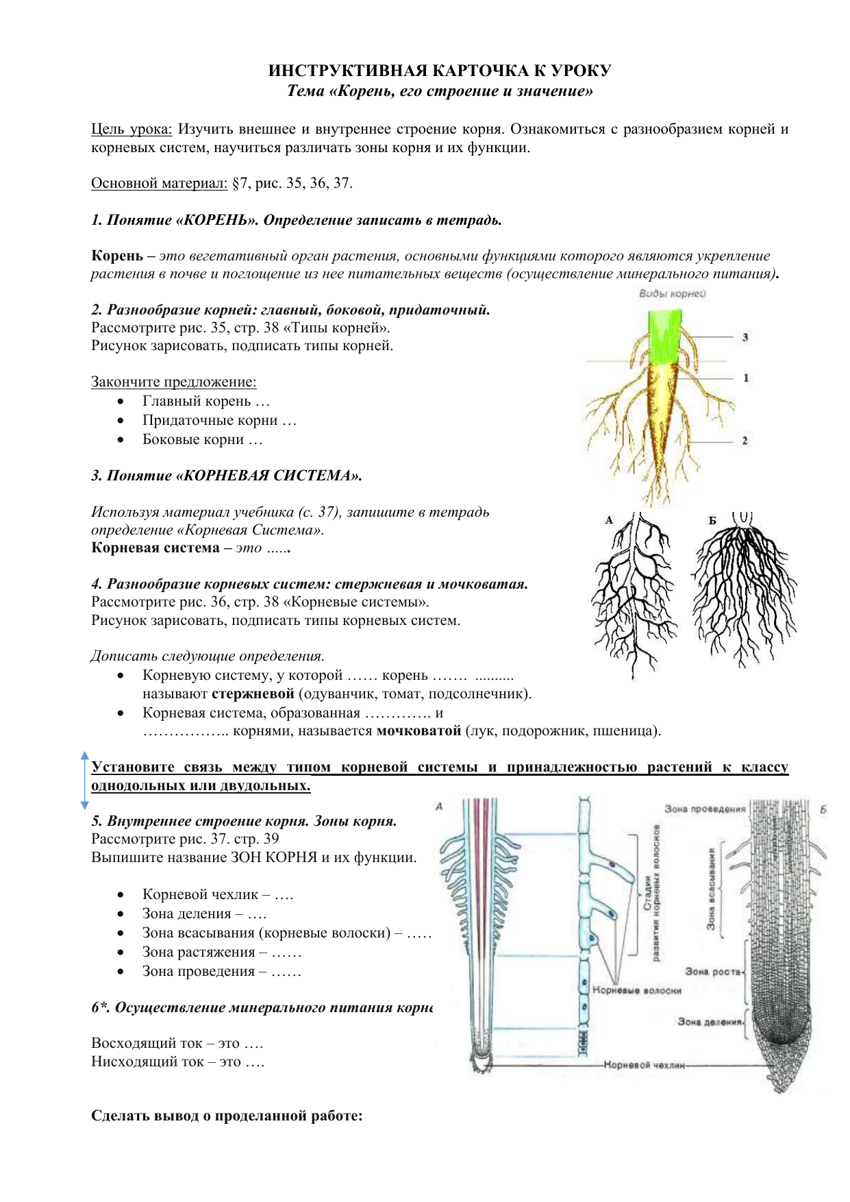 Задания строение корня. Внутреннее строение корня и его зоны. Тесты по биологии 6 класс по теме корневые системы зоны корня.