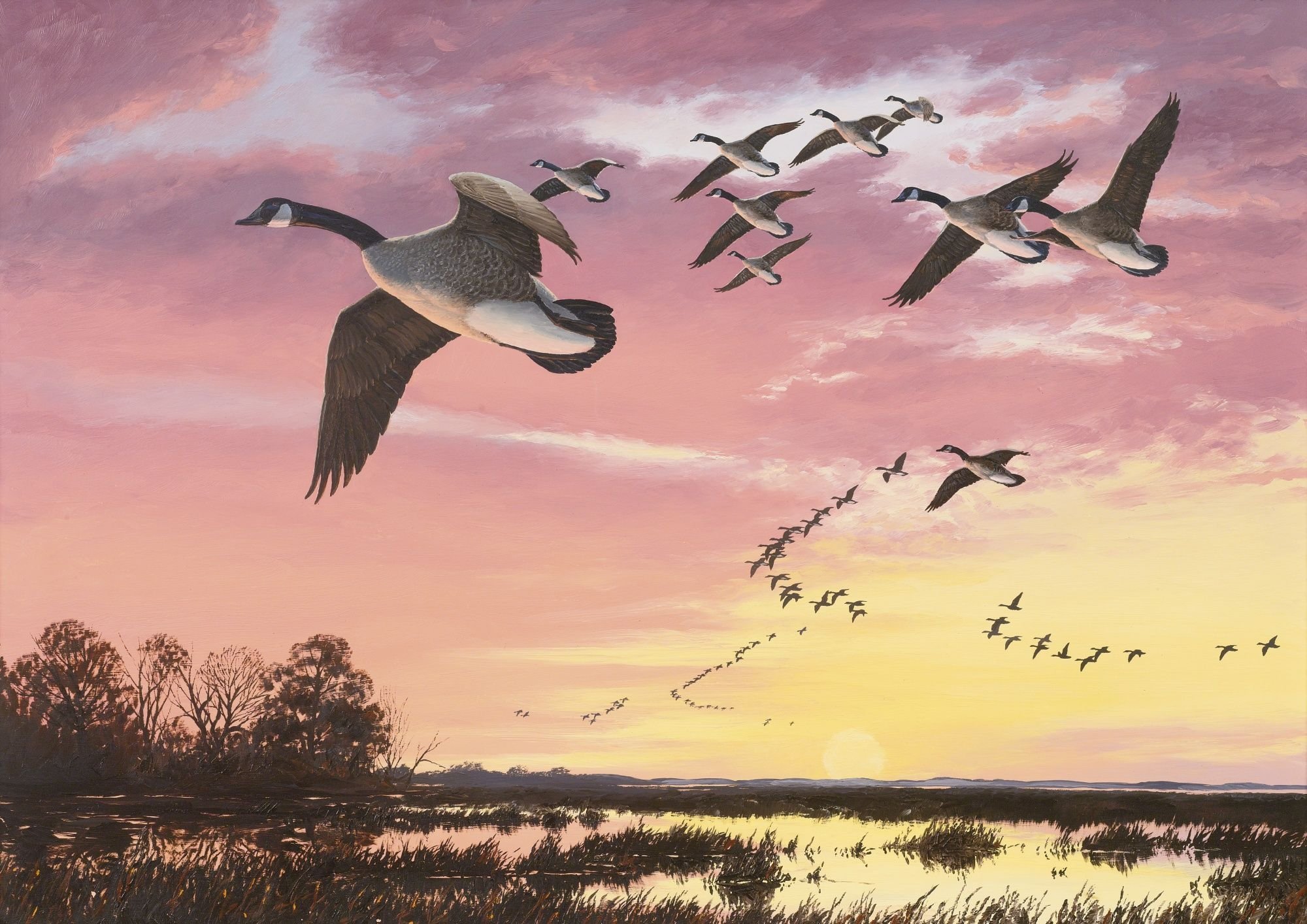 Перелетная птица я уходила чтобы возвратиться. David Maass картины. Художник David a. Maass. Птицы улетают. Картина птицы улетают.