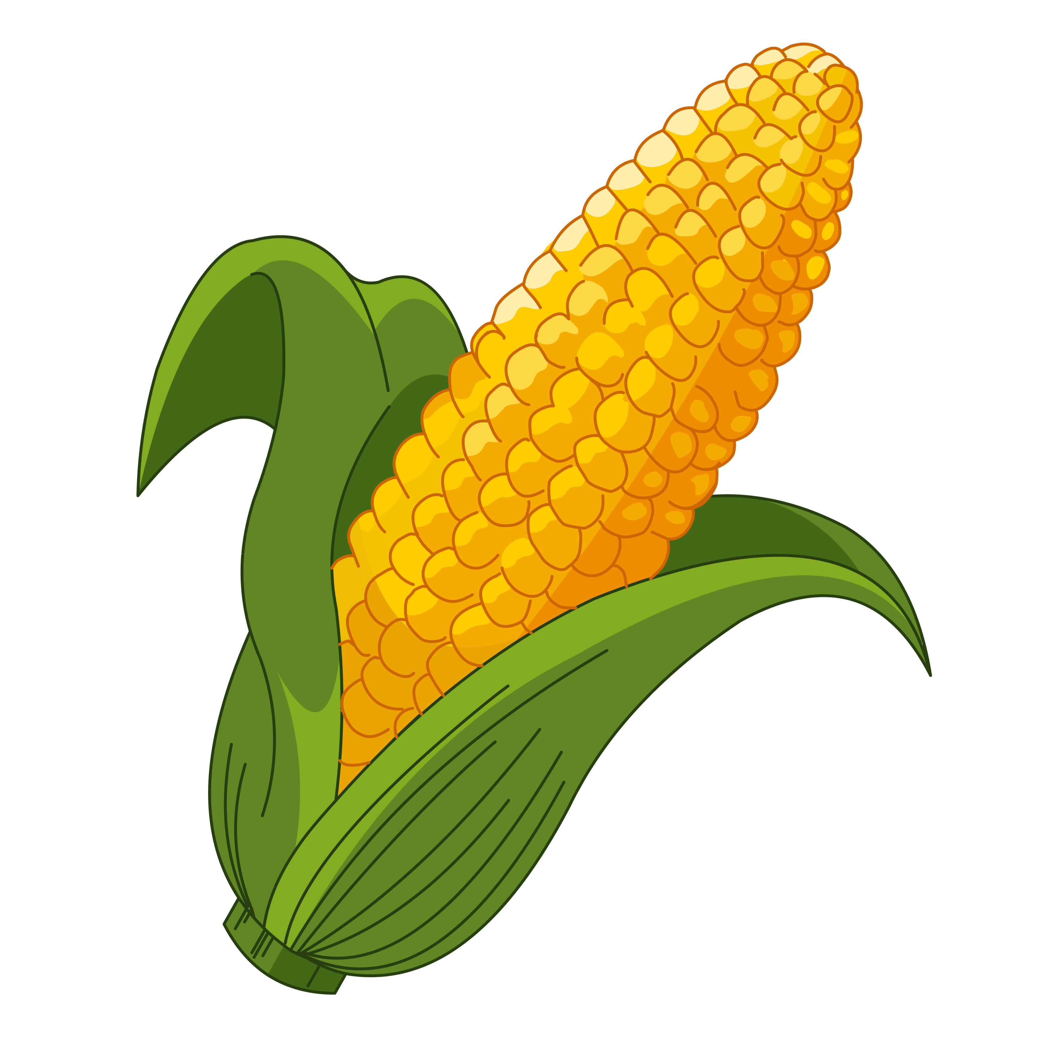 Corn kidz. Дети кукурузы. Кукуруза мультяшный. Кукуруза детская. Кукуруза рисовать.