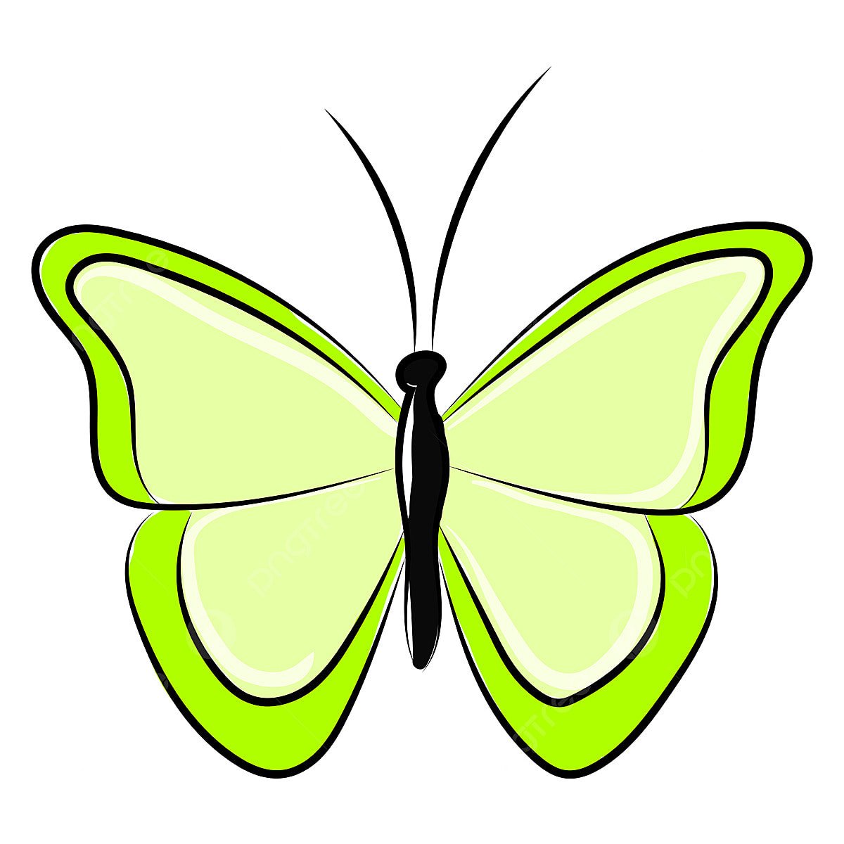 Зеленая бабочка рисунок