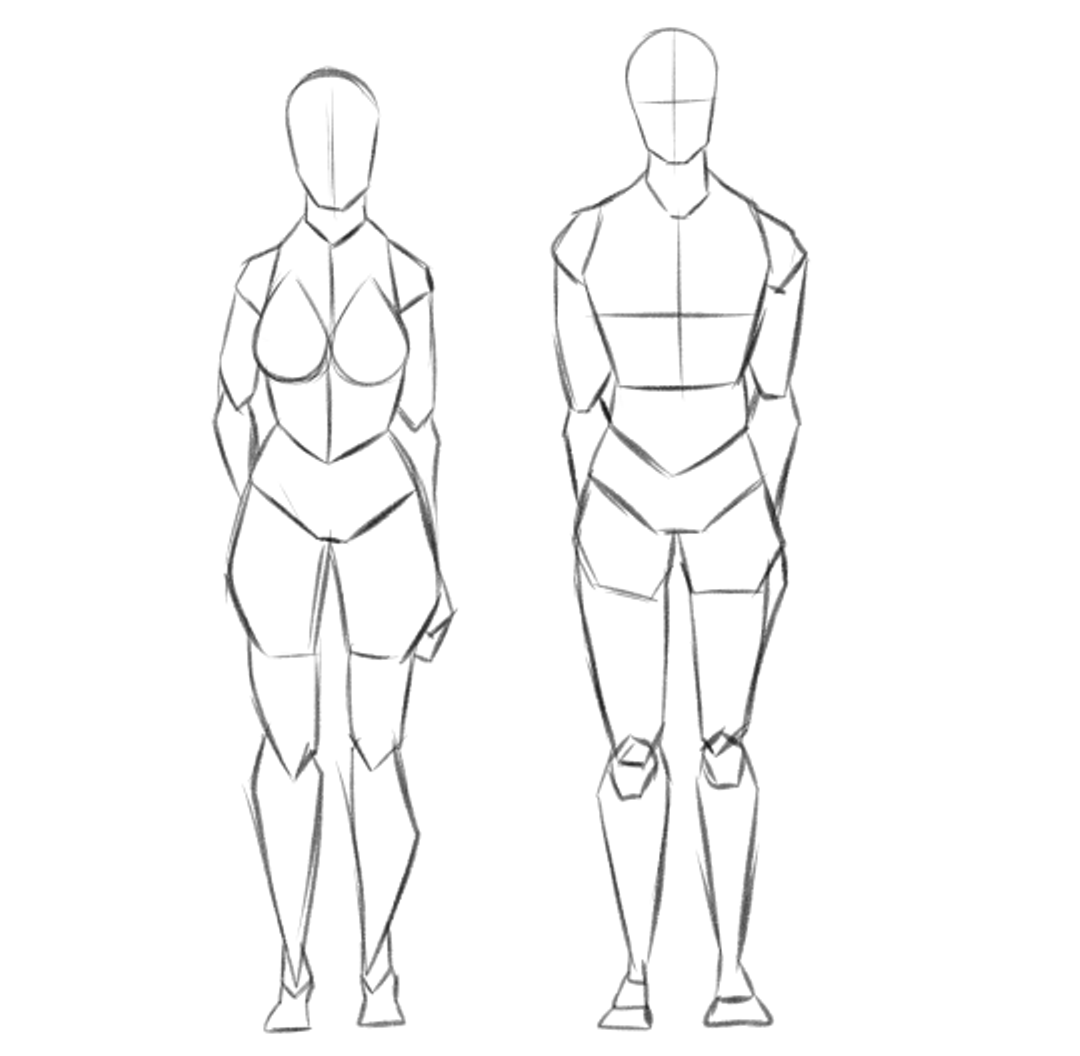 Фигура человека. Тело рисунок. Фигура человека анатомия. Фигуры тела для рисования.