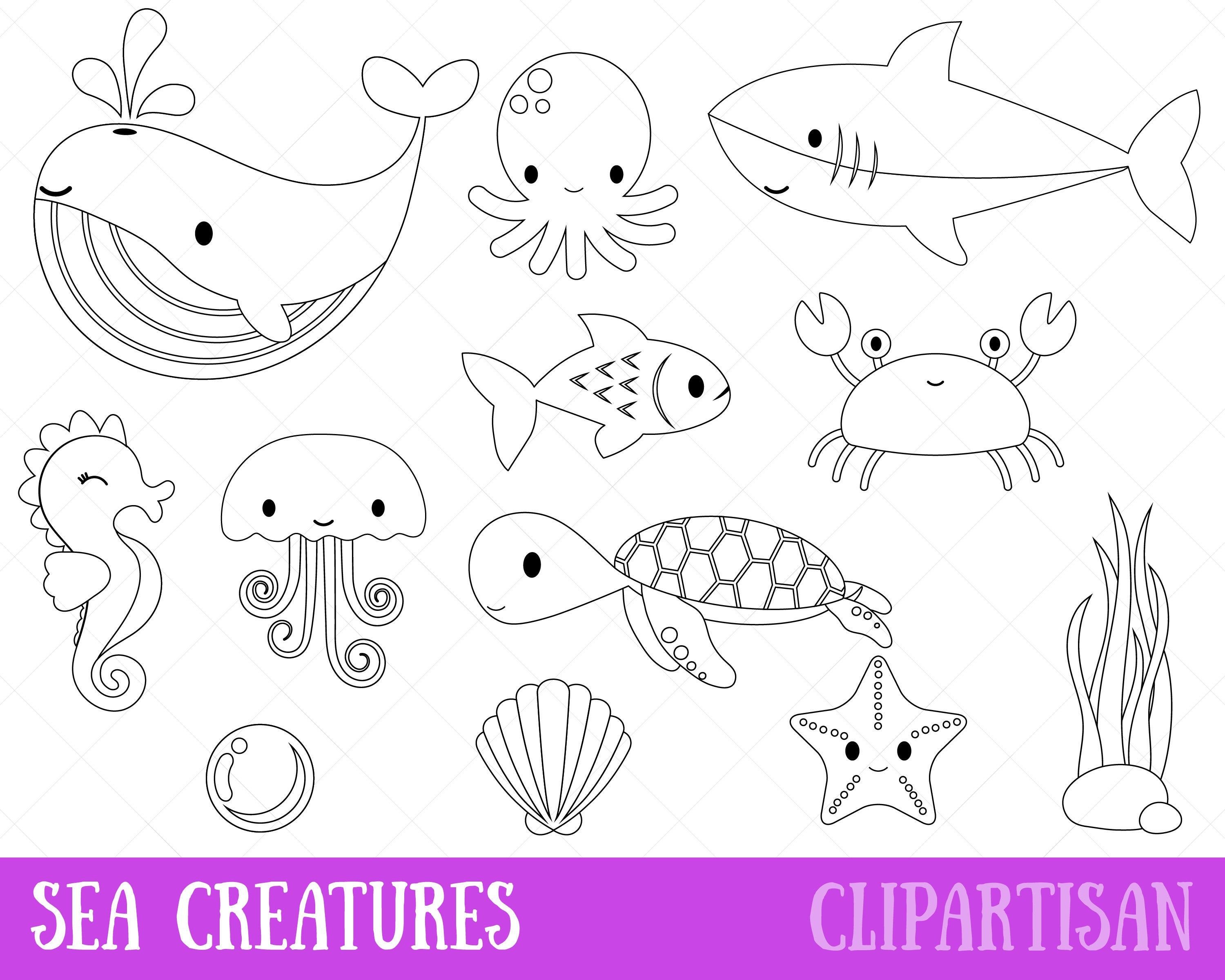 Рисунки для срисовки морские животные
