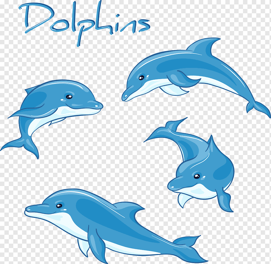 Дельфин векторный рисунок