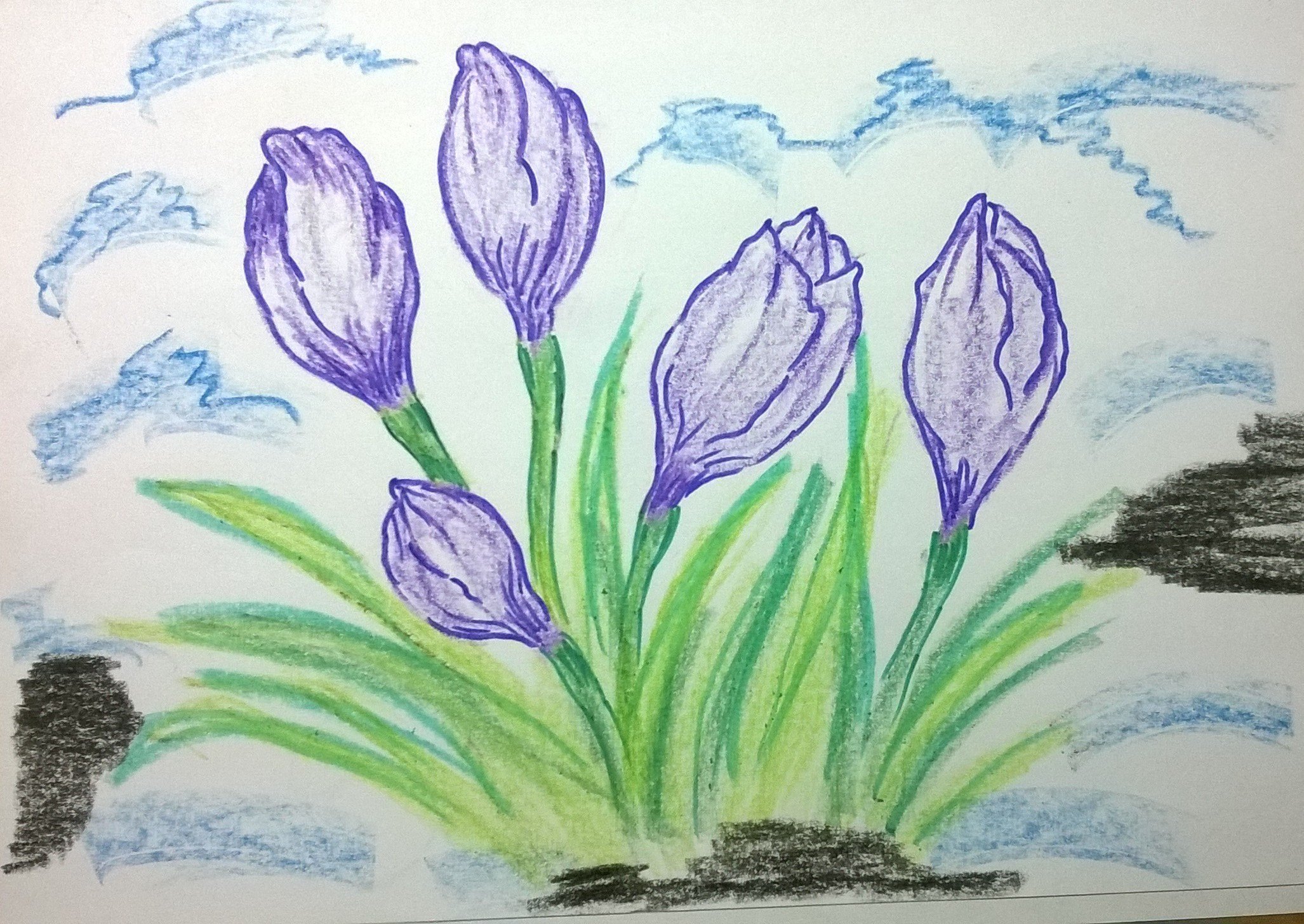 Рисование первоцветы средняя группа. Рисование весенние цветы. Рисование первоцветы. Рисунок на тему весенние цветы.