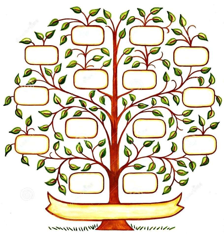Семейное древо шаблон для садика рисунок