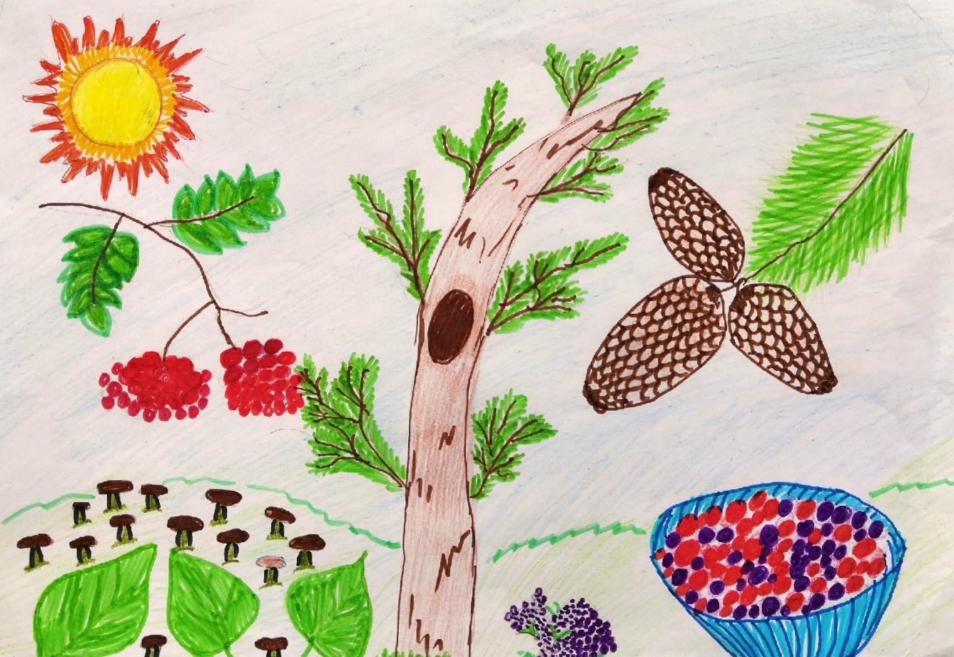 1 лес наше богатство. Рисунок на тему лес. Рисование на тему лес наше богатство. Рисунок леса на конкурс. Детские рисунки лес.