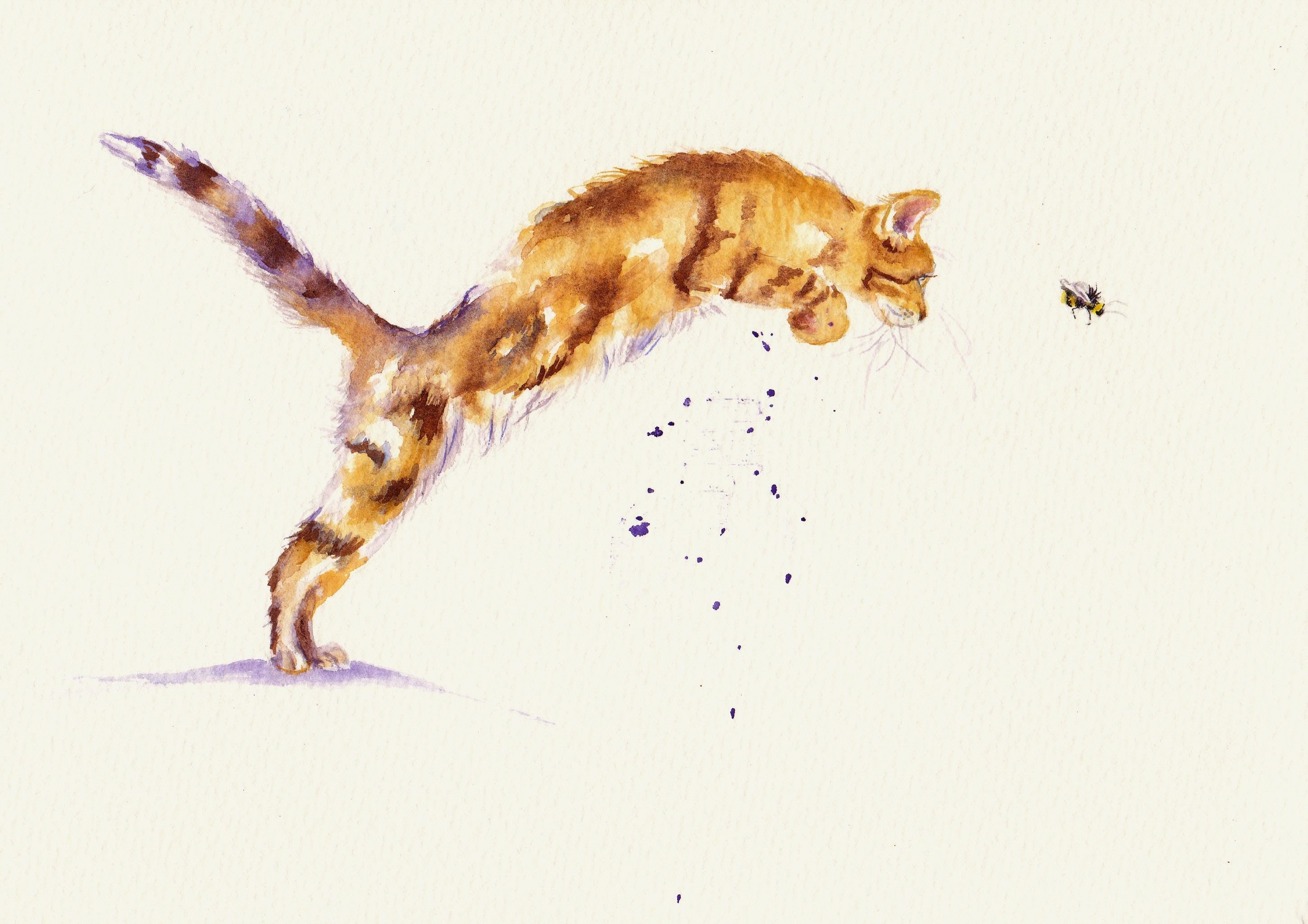 Кошачья квадробика. Кошка в прыжке. Кошка в движении. Кошка иллюстрация. Зарисовки животных в движении.