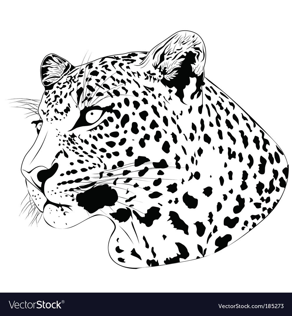 Векторный рисунок леопард