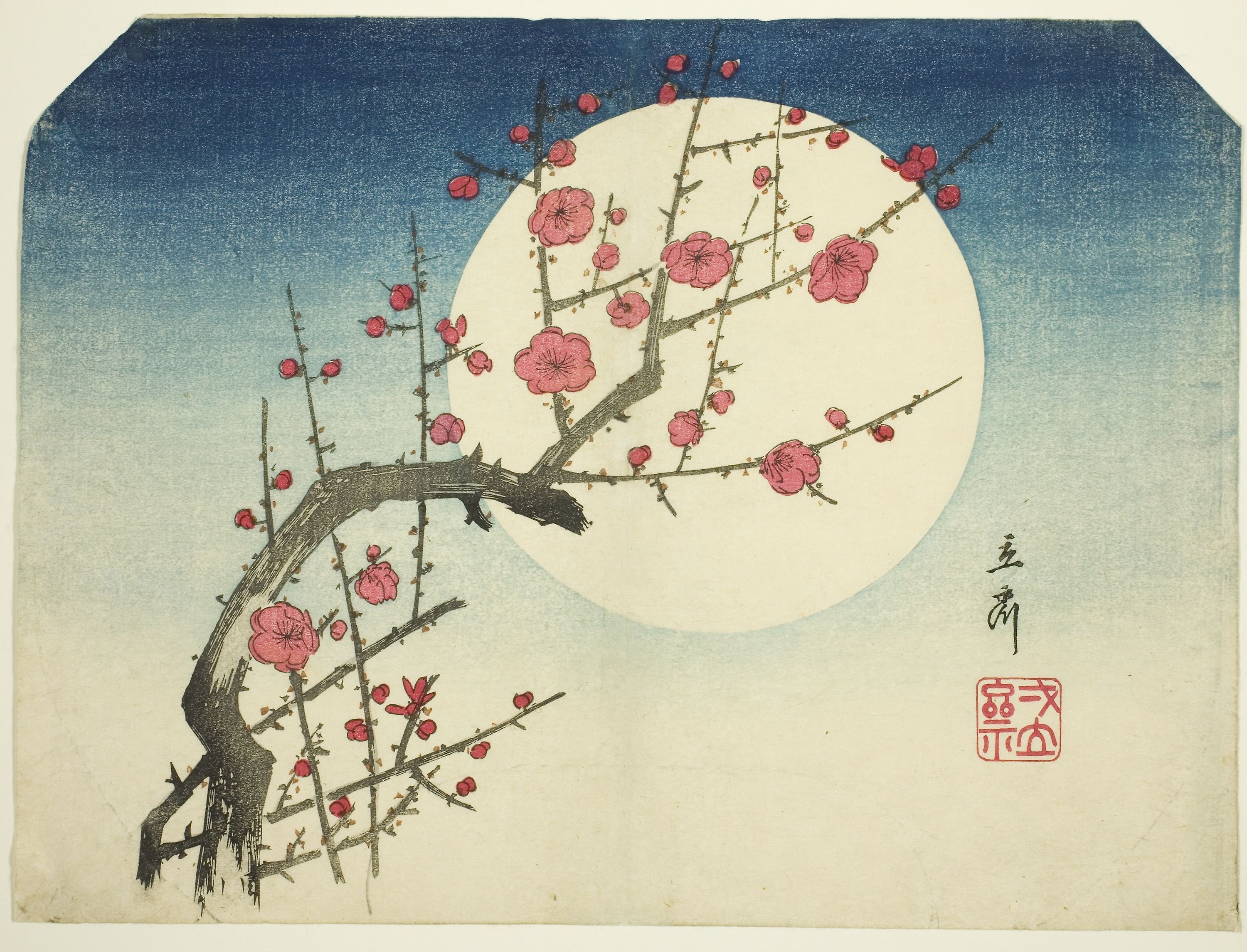 Хокку про сакуру. Хиросигэ Цветущая слива. Утагава Хиросигэ гора Фудзи и цветущие вишневые деревья. Японская гравюра Сакура Фудзи. Японские трехстишия хокку хайку.