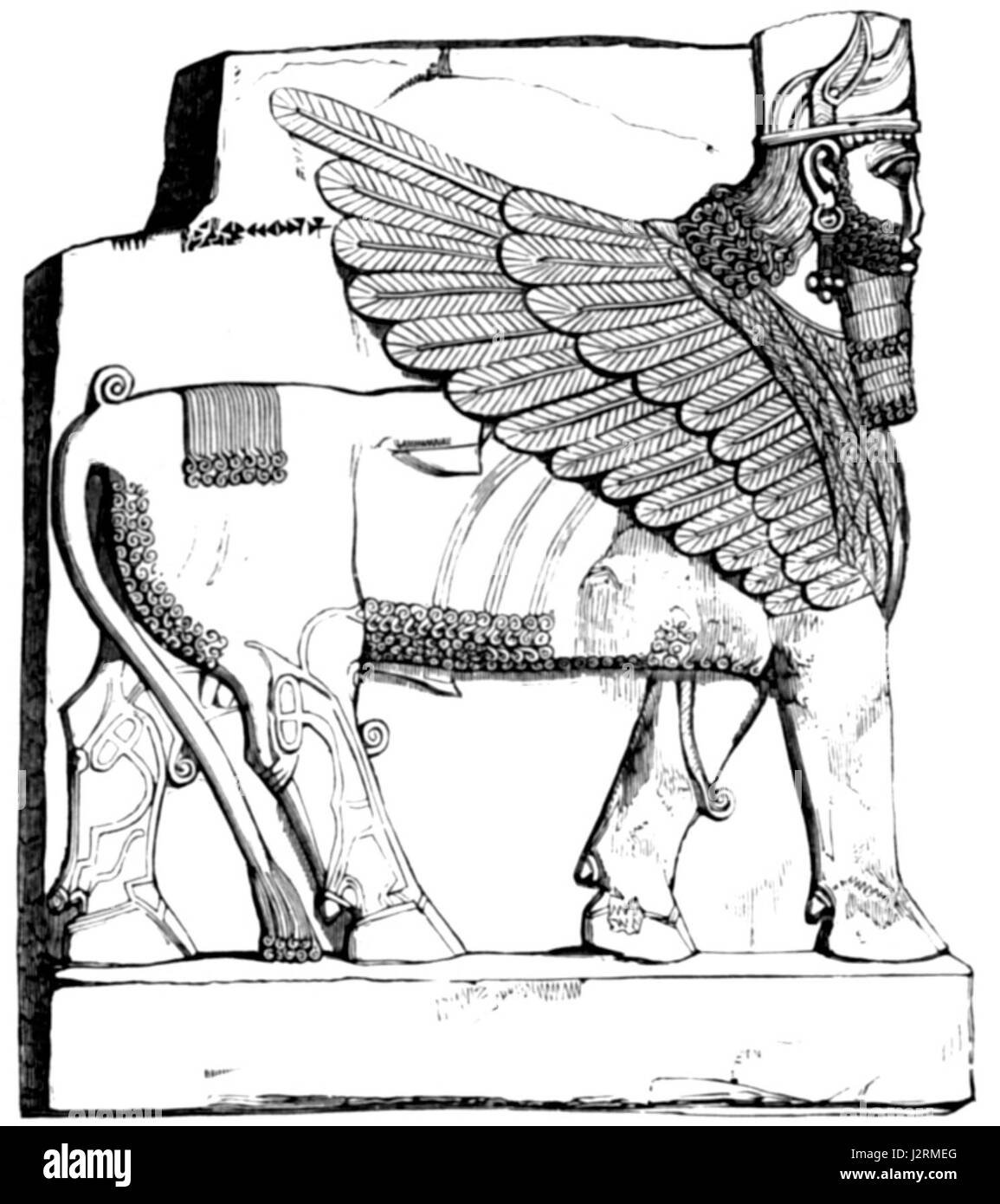 Крылатый бык. Крылатый бык Шеду из дворца Саргона II.. Шеду Ассирия. Ассирийский бык Шеду. Крылатые быки Ассирии.