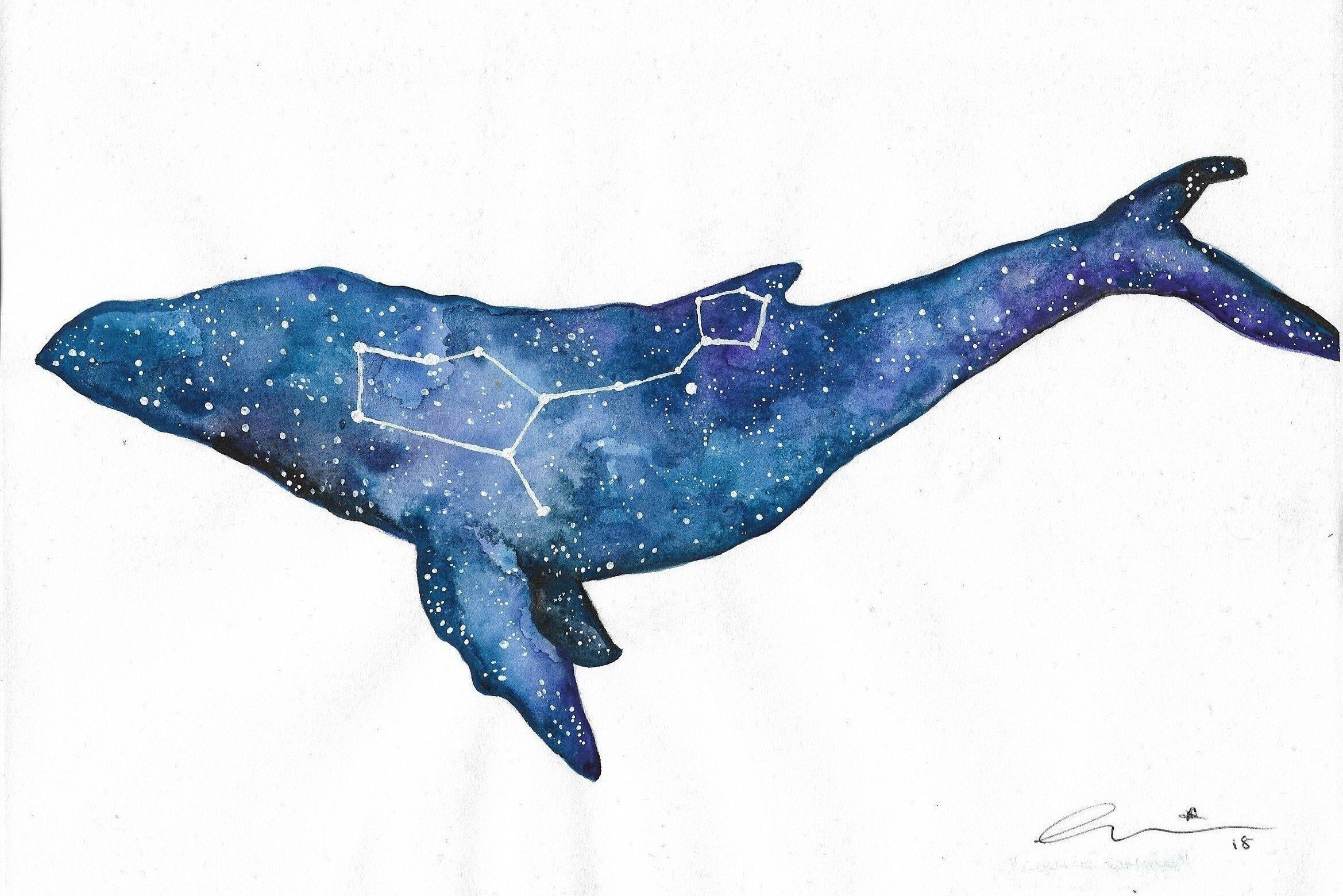 В далеком созвездии кита. Созвездие синего кита. Кит и звезды. Киты арт без фона. Киты из Звёздных войн.