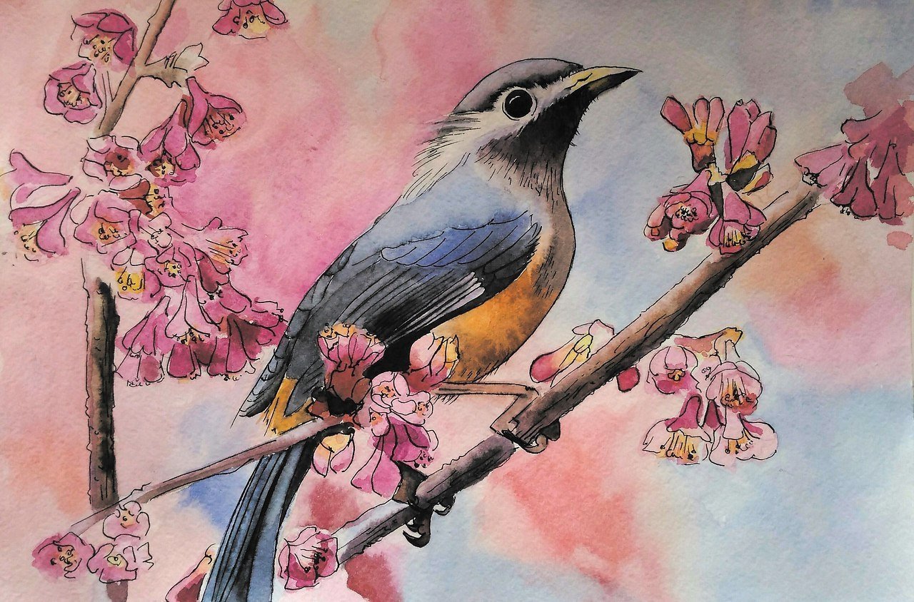 Весенние птицы рисунок карандашом - 50 фото
