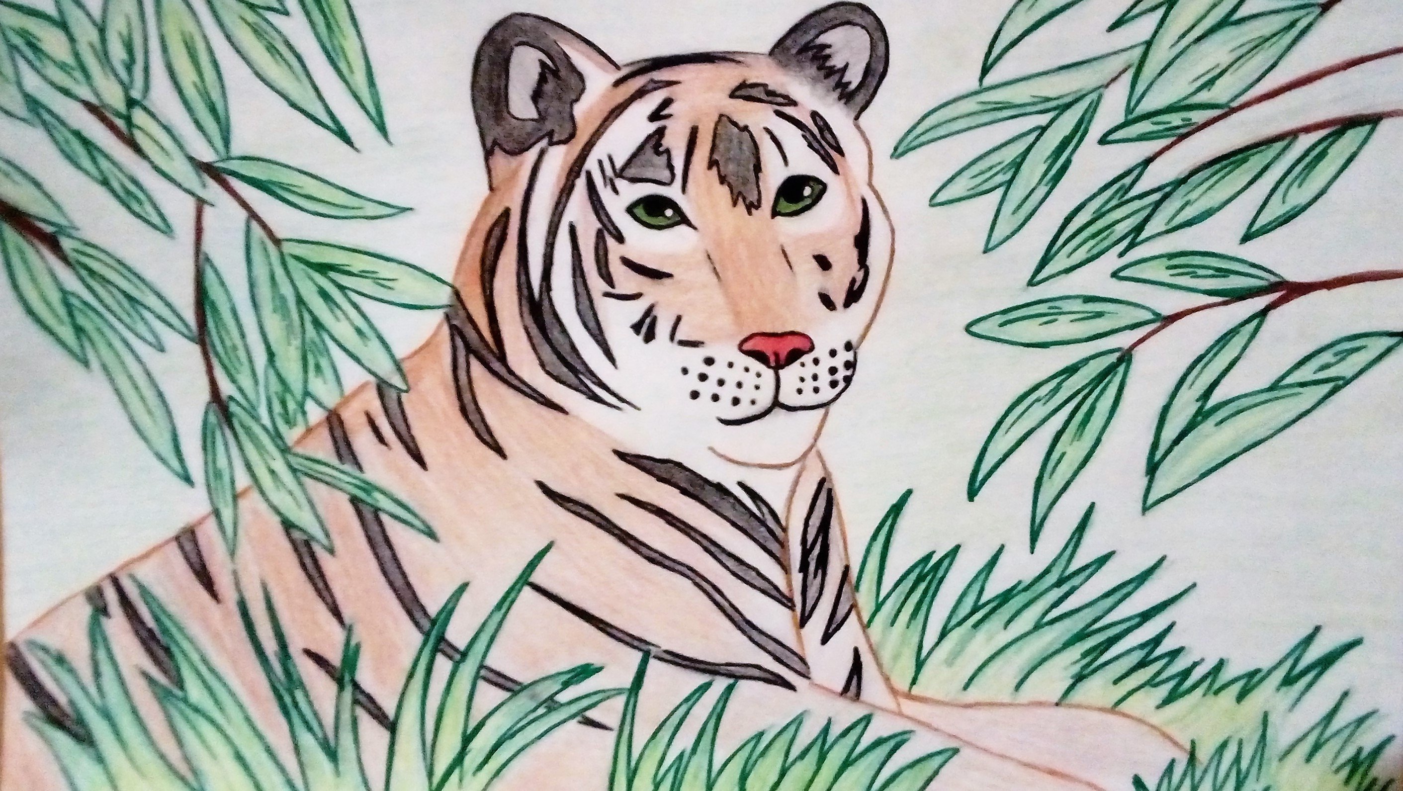Животное рисунок 7 класс. Тигр рисунок. Рисунки тигров для срисовки. Рисунок на тему тигр. Картинки тигра для срисовки.