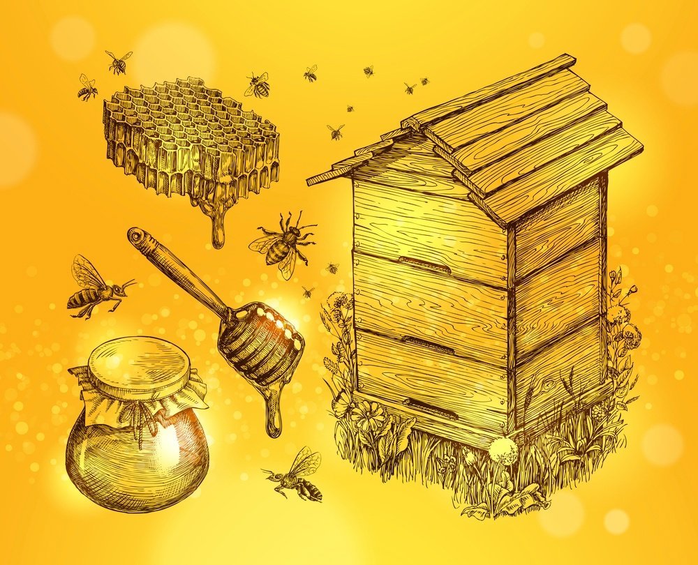 Рисунок улья с пчелами