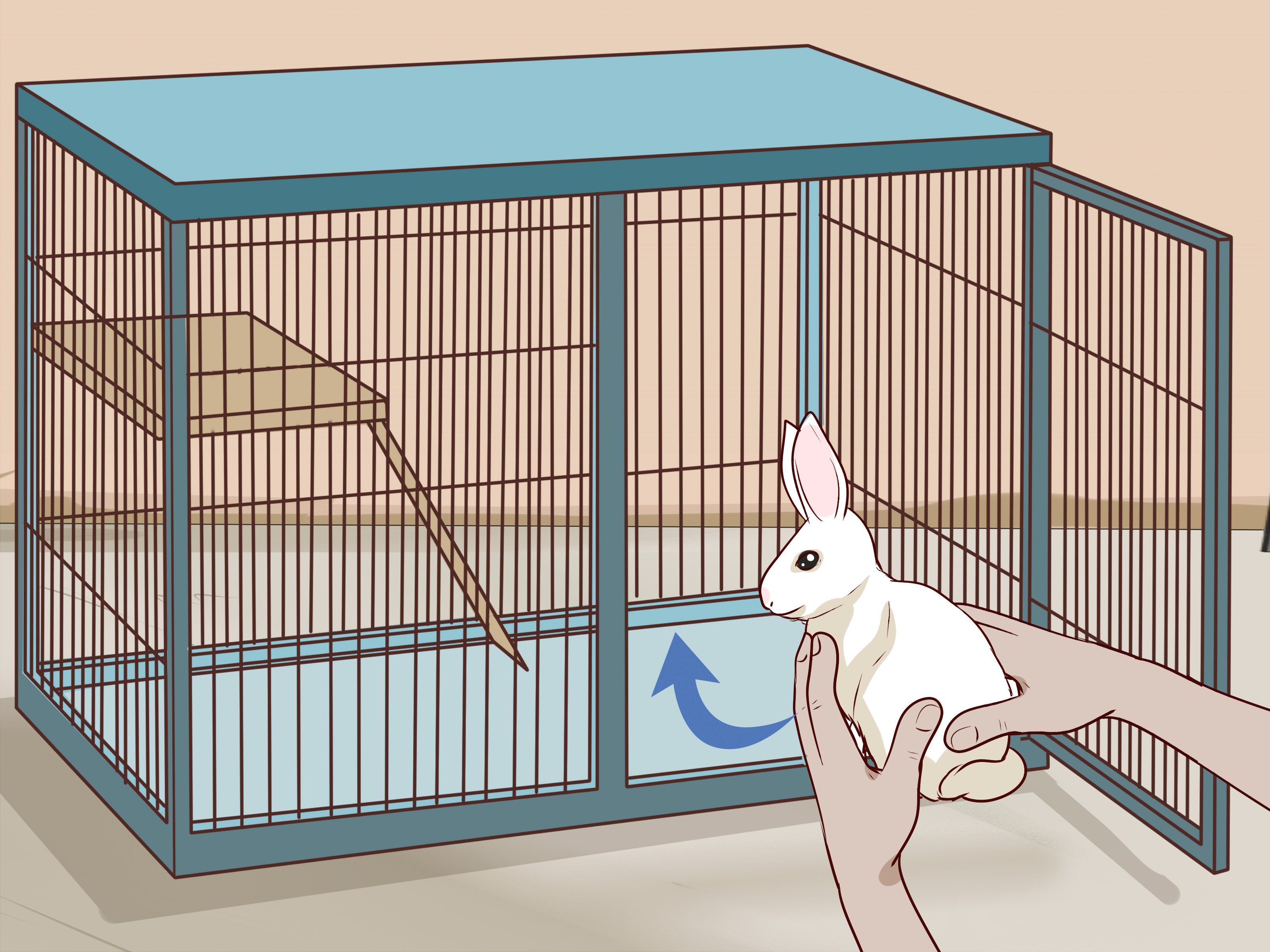 I a pet rabbit. Клетка для кроликов.