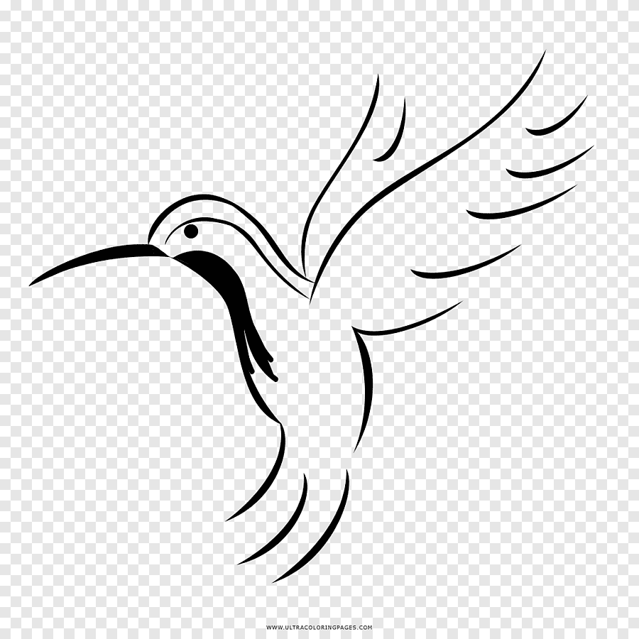 Птица рисунок вектор