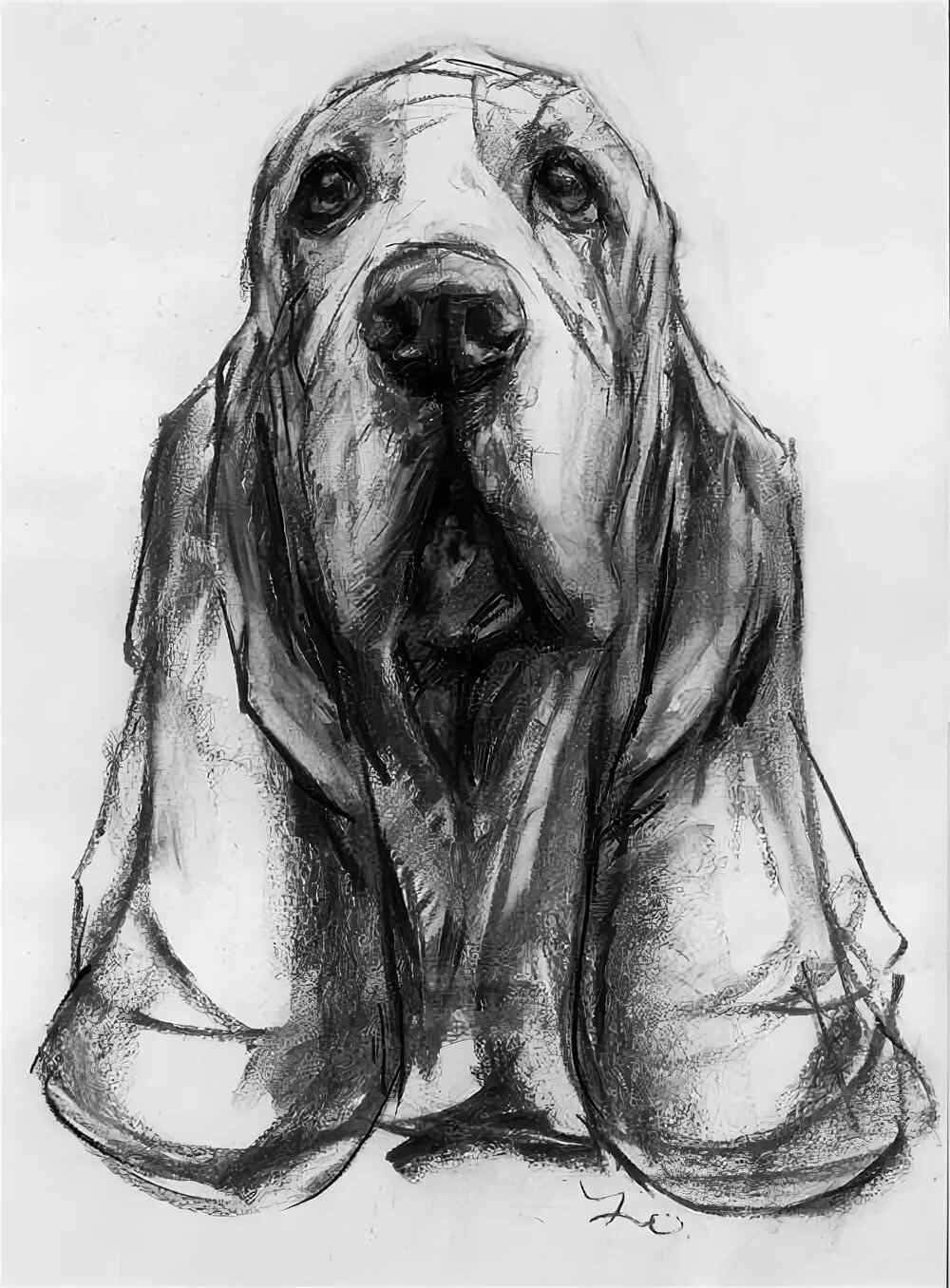Рисунок собаки графика. Зарисовки собак. Наброски животных. Наброски собак. Собака рисунок карандашом.