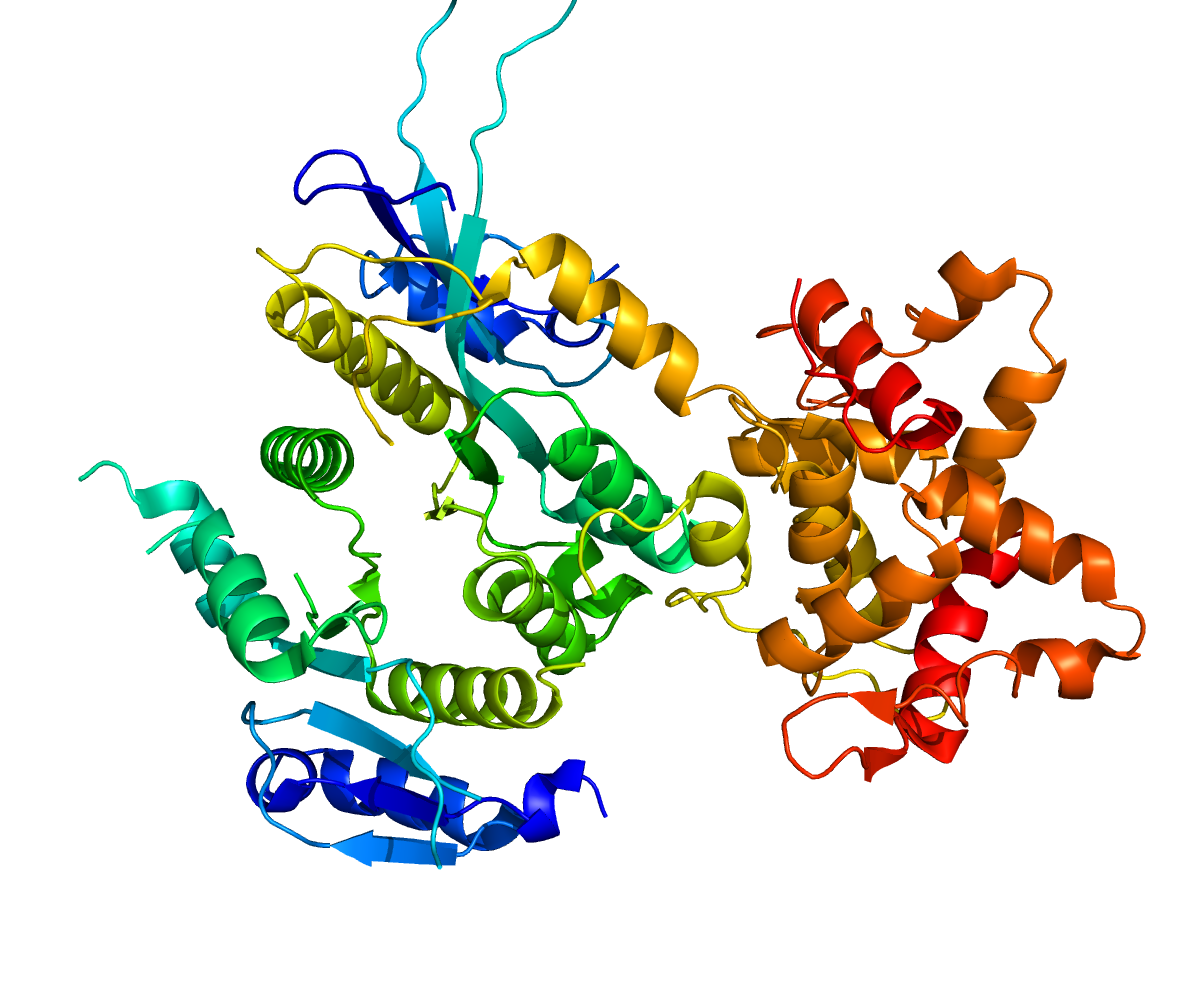 Полипептид рисунок. Структура белков. Ферменты без фона. Белок молекула. Ферменты на белом фоне.