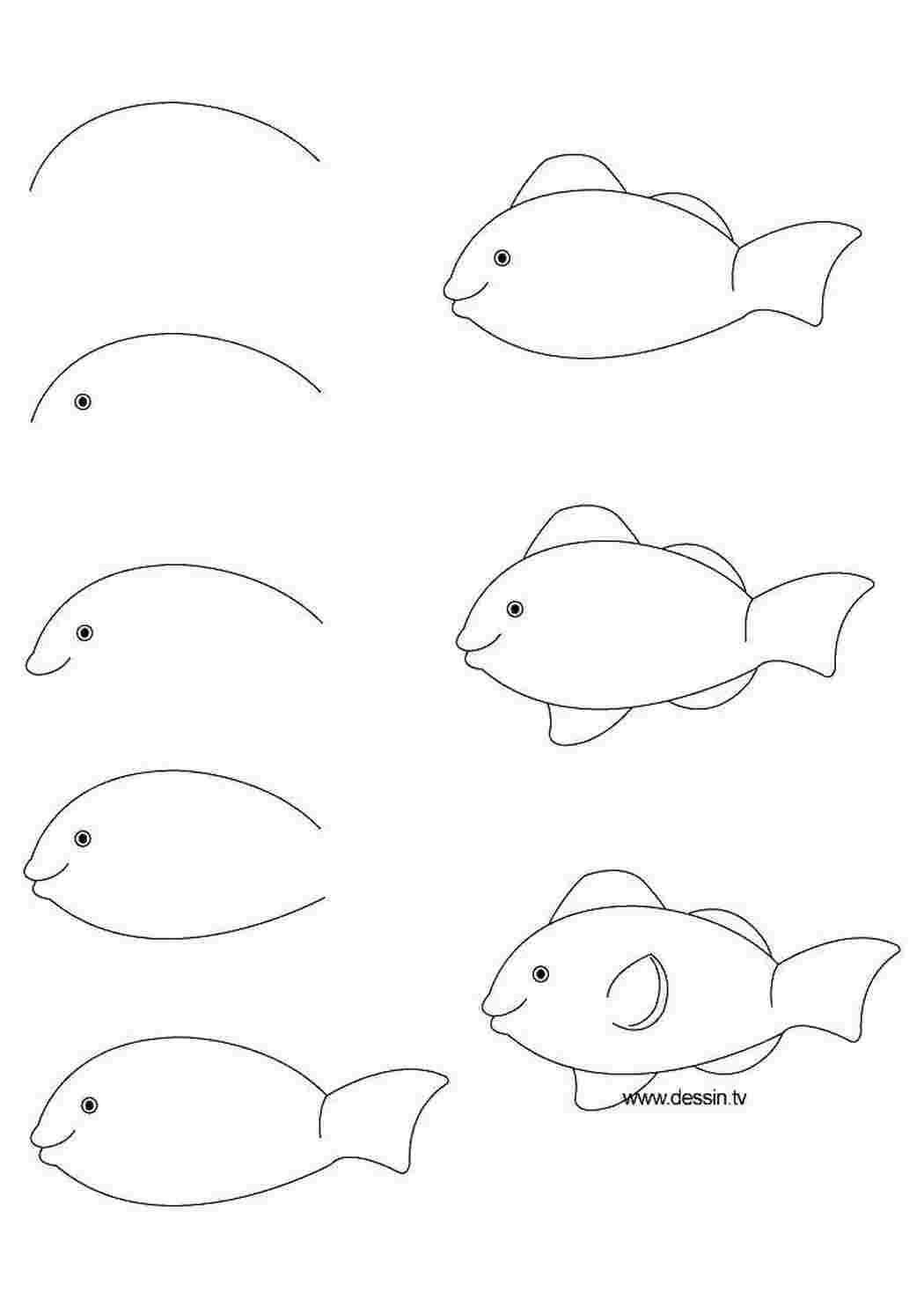 Нарисовать рыбку картинки. Поэтапное рисование рыбки. Этапы рисования рыбки. Рисование для детей рыбы. Рыбка карандашом для детей.