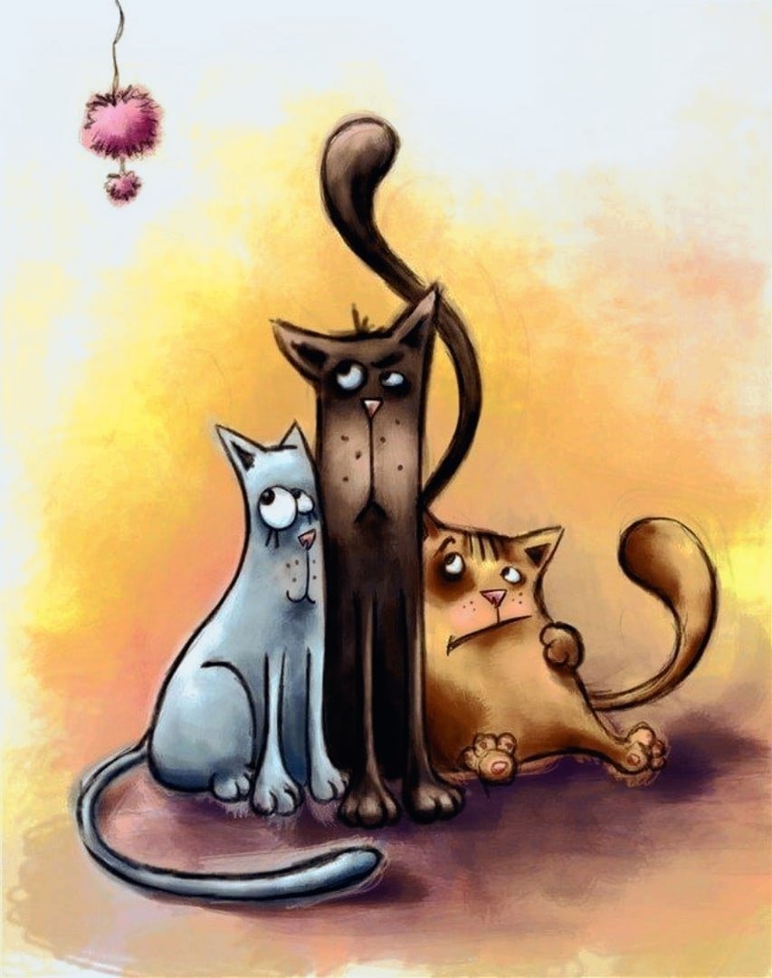 Смешные открытки с котом. Коты рисунки. Смешные рисунки. Котик рисунок.