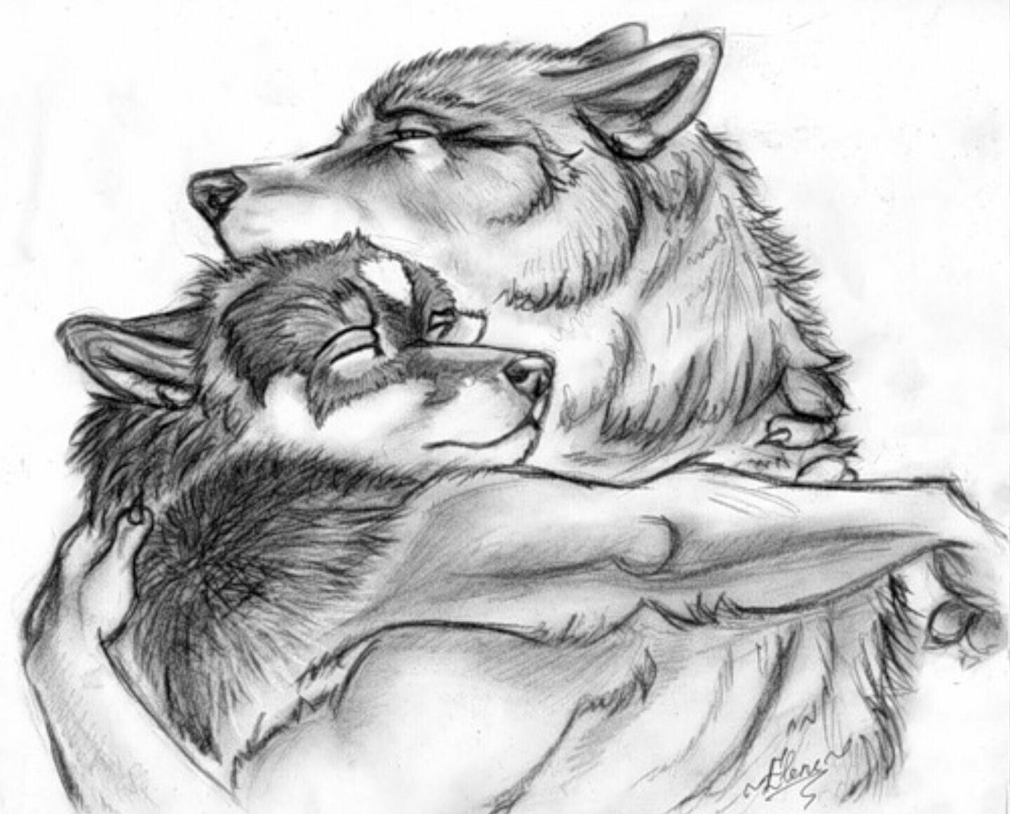 Обнимая волка. Волк рисунок. Волки любовь. Волк и волчица. Волк и волчица любовь.