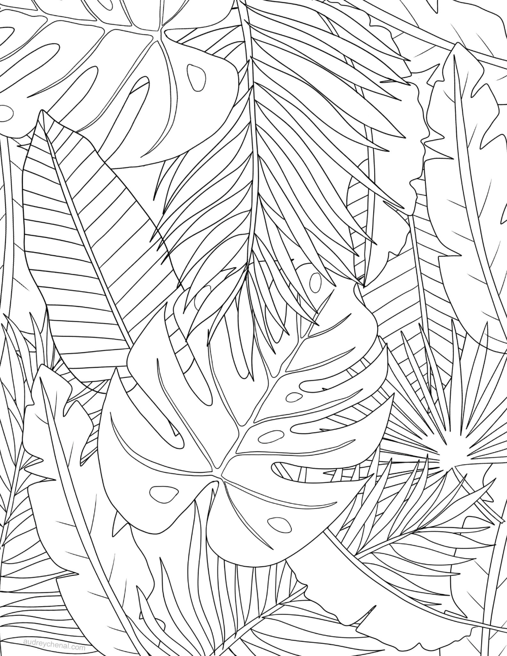 Тропические листья раскраска - 54 фото