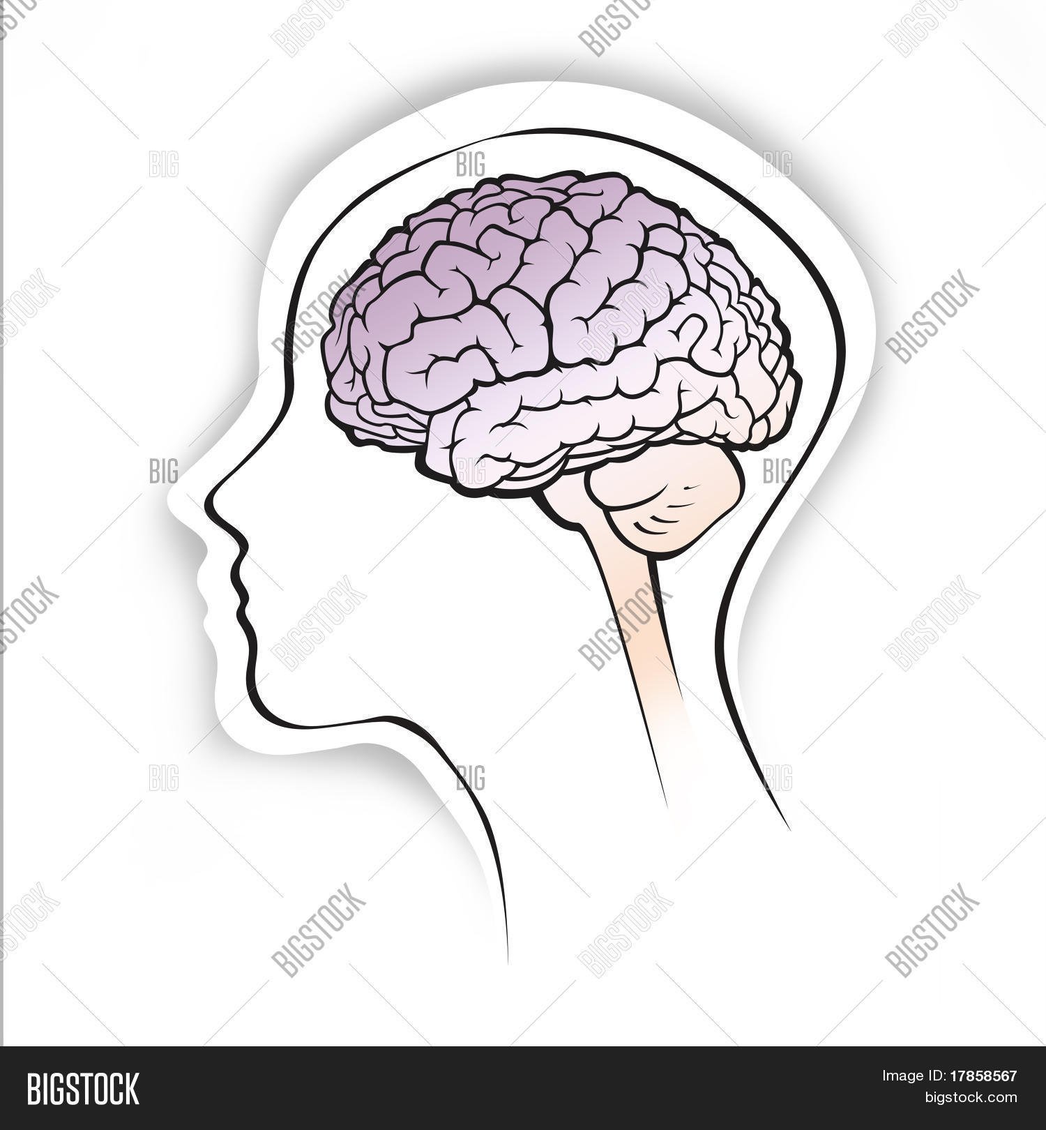 Мозг без головы крокус. Мозг нарисованный. Мозг человека для детей. Человечек с мозгом.