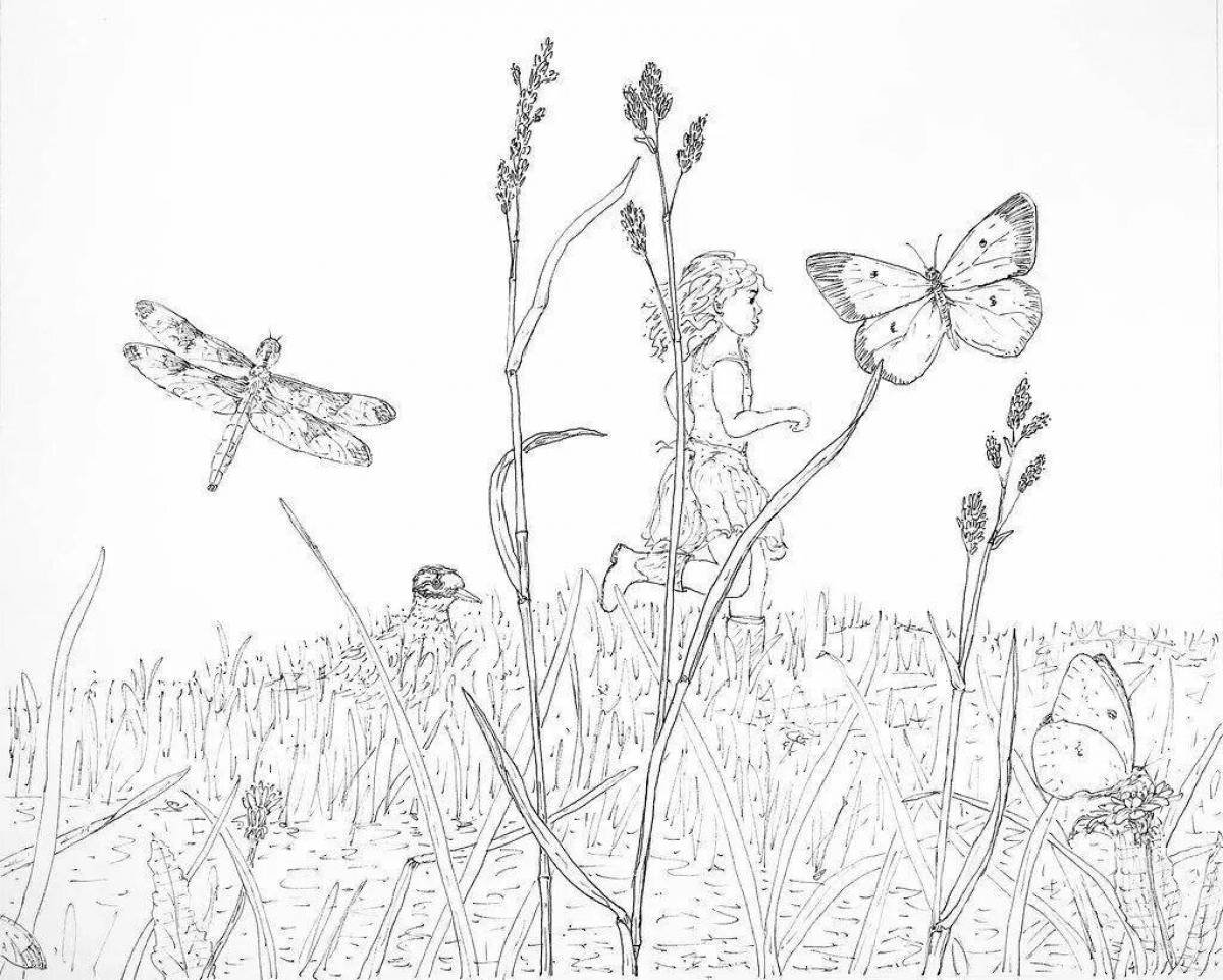 Нарисовать рисунок на лугу. Раскраска бабочки на лугу. Раскраска полевые цветы на лугу. Рисование для детей луг с цветами. Луг карандашом.