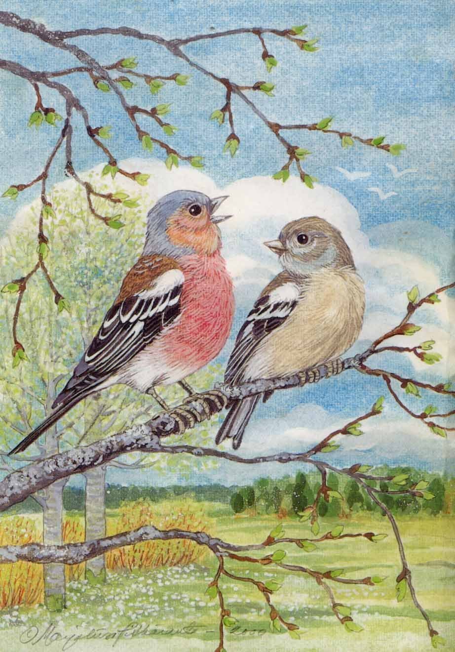 Весенние птицы рисунок. Птица рисунок. Птица рисунок для детей. Птицы весной.