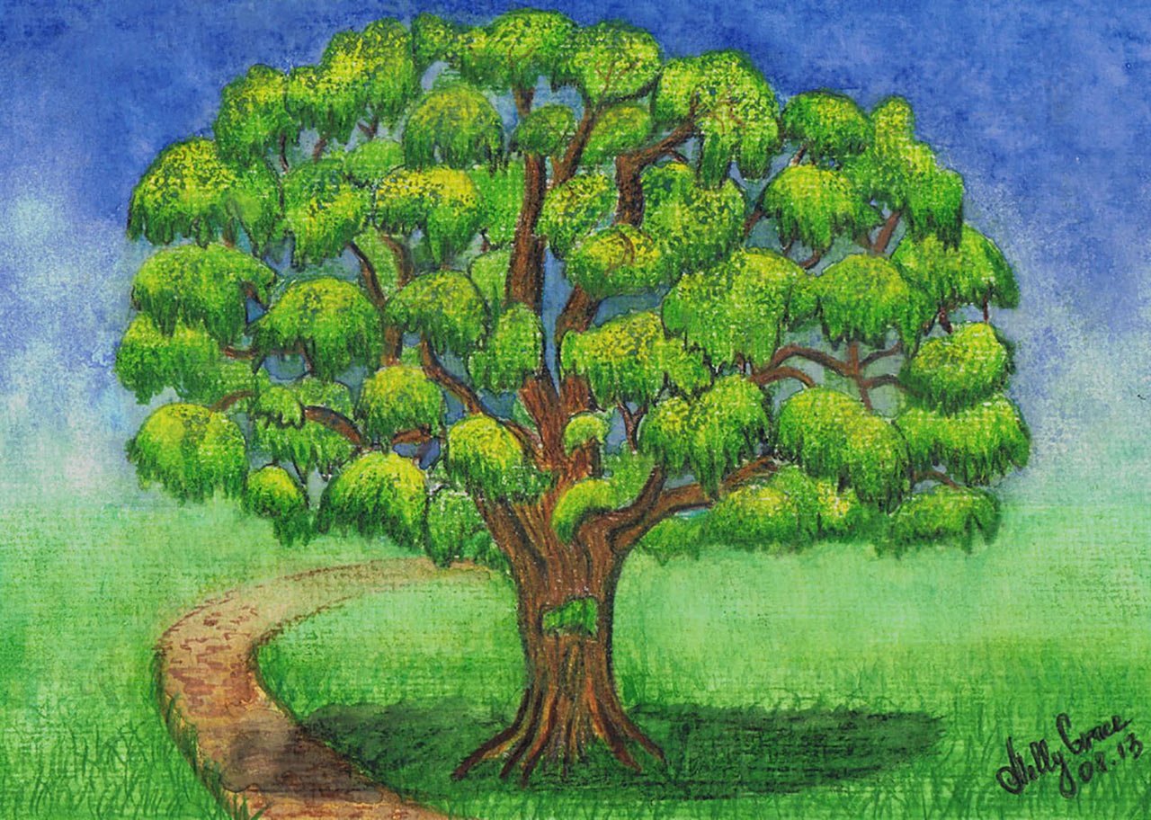 Дерево рисунок. Нарисовать дерево. Дуб рисунок. Нарисовать большое дерево. Урок дерево 8 класс