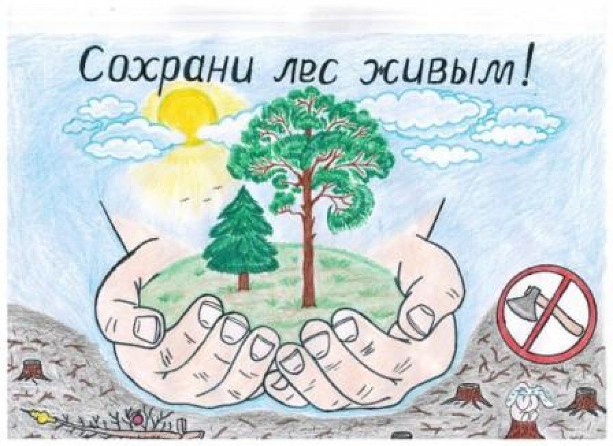 Охрана леса от вырубки. Рисунок на тему экология. Плакат на тему экология. Рисунок на тему защита природы. Рисунок на тему сохраним природу.
