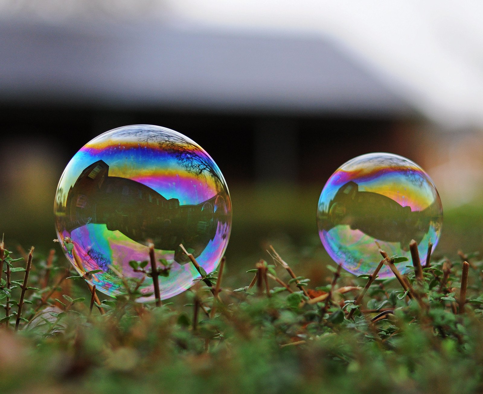 Какое явление объясняет окраску мыльных пузырей