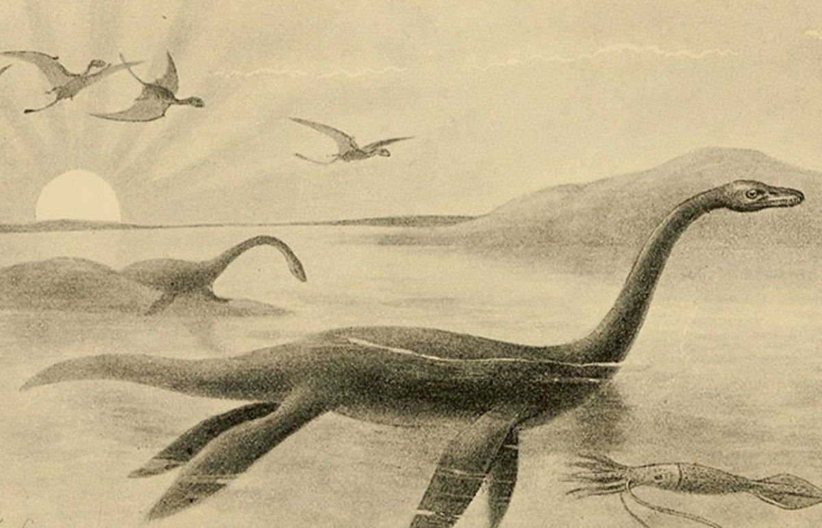 Лохнесское чудовище динозавр. Плезиозавр озеро Лохнесс. Чудовище Лохнесс Плезиозавр?. Несси Лохнесское чудовище.