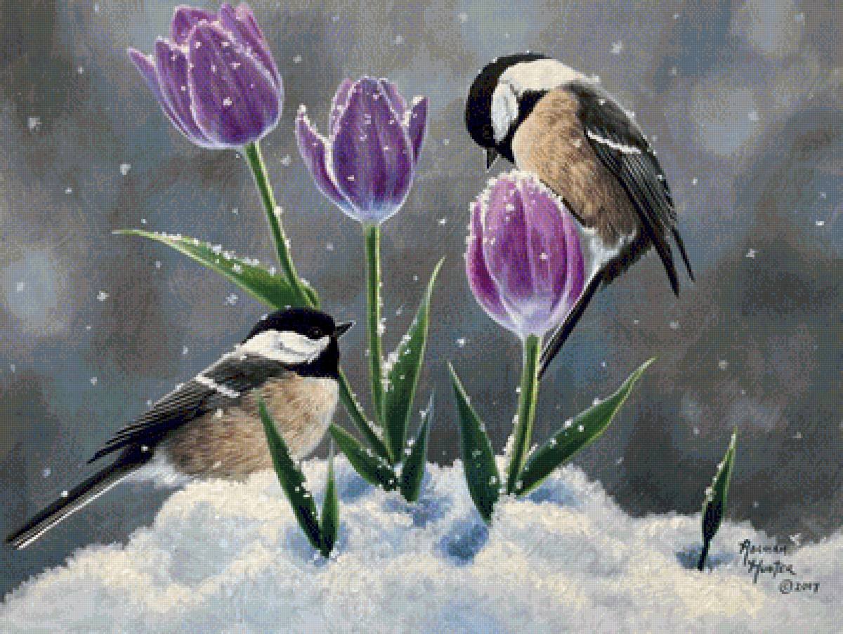Доброе весеннее утро со снегом. Весенние цветы в снегу. Птицы весной.