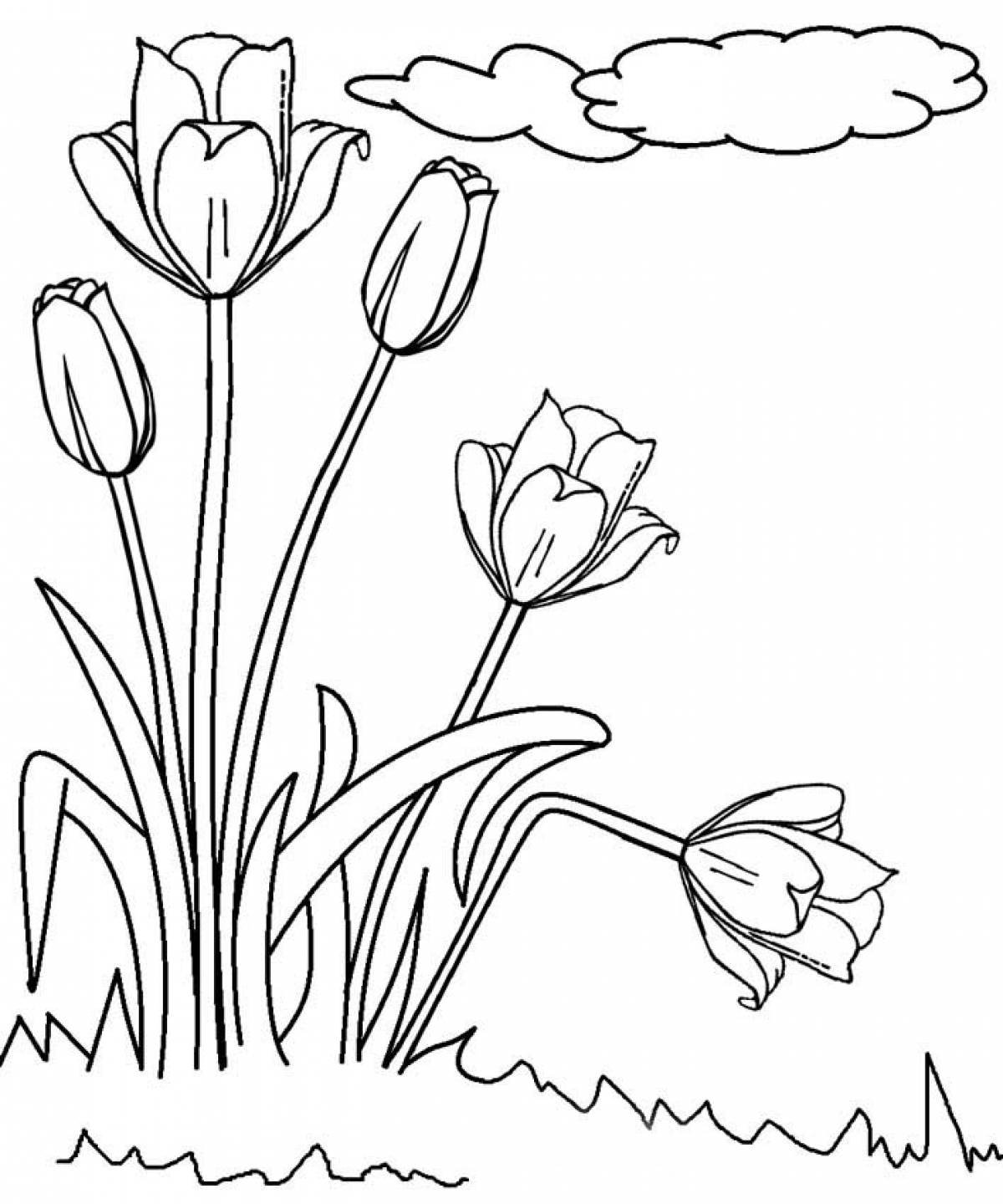 Как нарисовать весенние цветы. Тюльпан Шренка раскраска. Весенние цветы раскраска. Тюльпан раскраска. Первые весенние цветы раскраска.