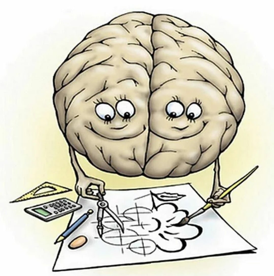 Ментальная тренировка. Тренировка мозга. Мозг иллюстрация. Мозг рисунок. Мозг ребенка.