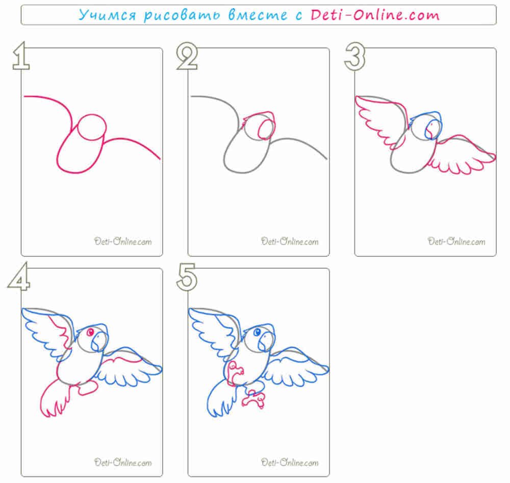 Рисование для начинающих схемы. Рисунки пошагово. Как нарисовать попугая поэтапно. Рисунки карандашом для начинающих. Как нарисовать попугая поэтап.