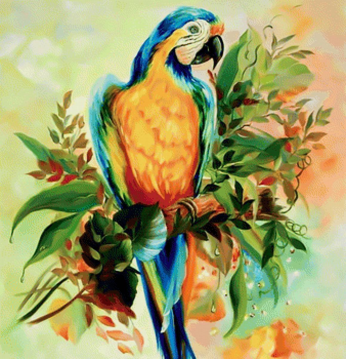 Bird art. Акварельная живопись попугаи ара жако. Птицы гуашью. Экзотические птицы акварель. Попугай гуашью.