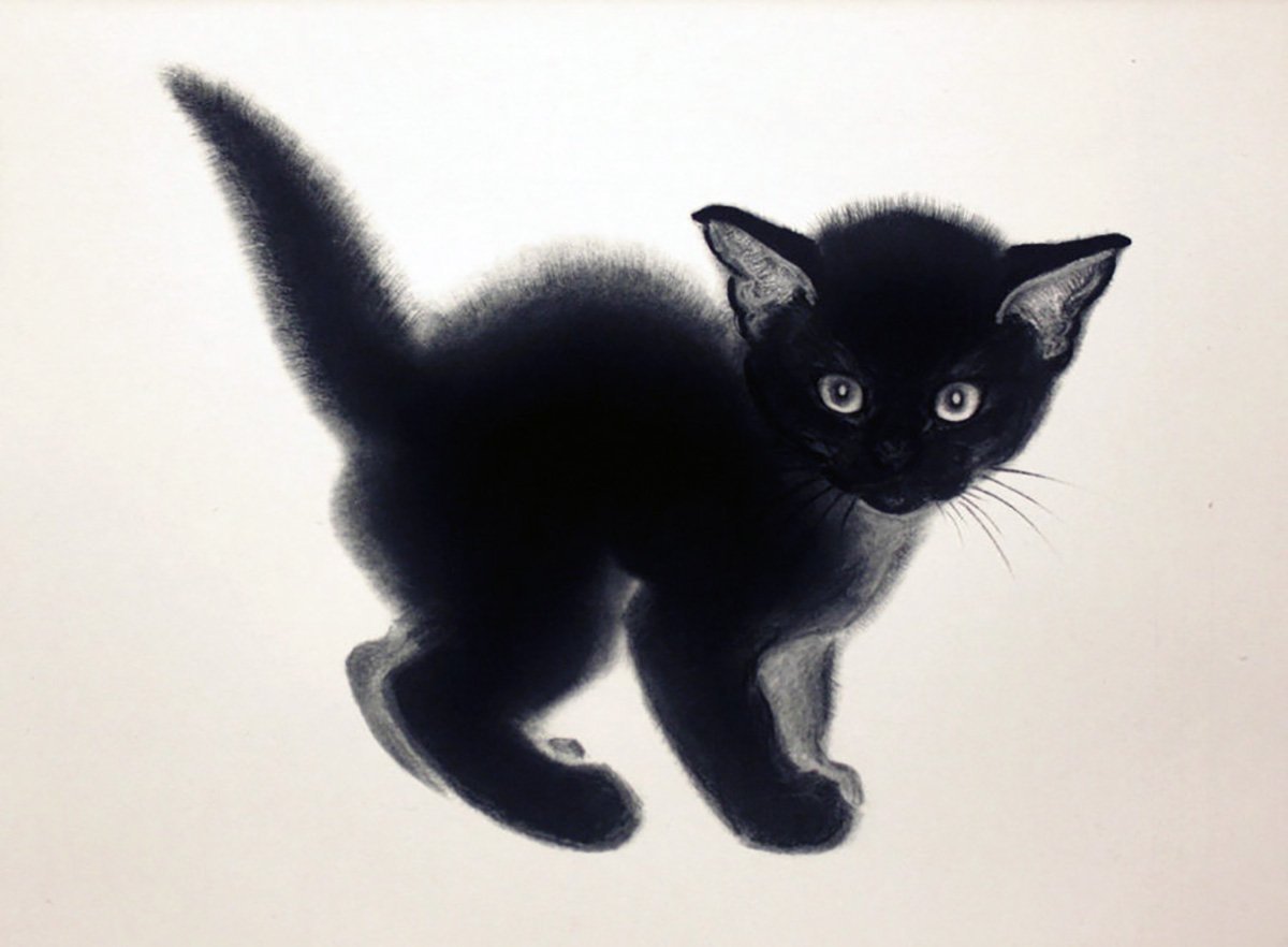 Черный кот распечатать. Чёрный кот. Черный котенок. Кошка рисунок. Нарисовать черную кошку.