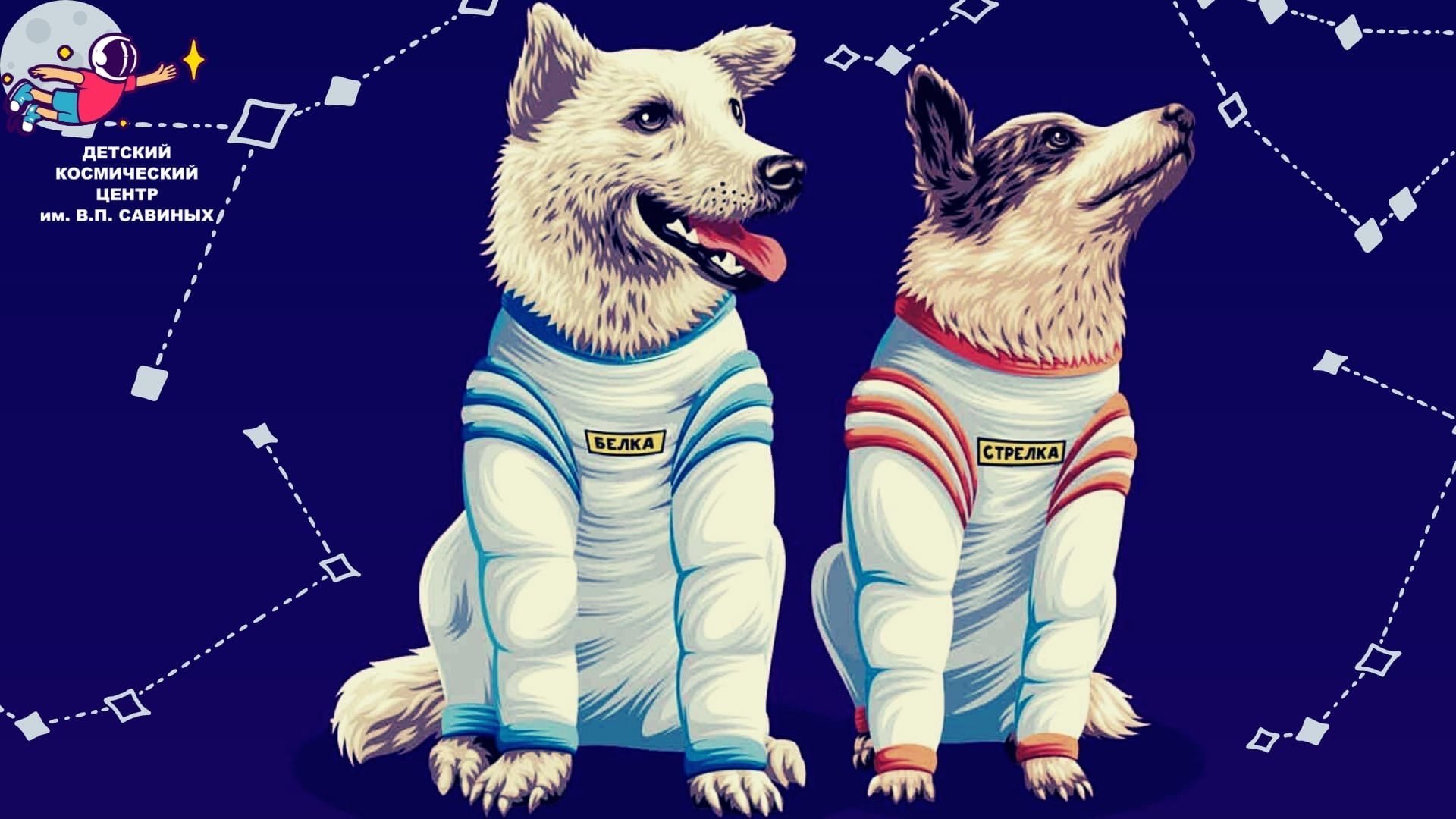 Картинка белка и стрелка. Белкаистрелка (собака-космонавт). Полет белки и стрелки в космос. Собаки-космонавты белка и стрелка-1. Собака белка и стрелка в космосе для детей.
