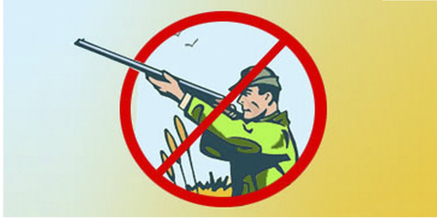 Запрет охоты 2024. Охота запрещена. Рисунок браконьерство для детей лёгкий схема. Запрет охоты Мем.