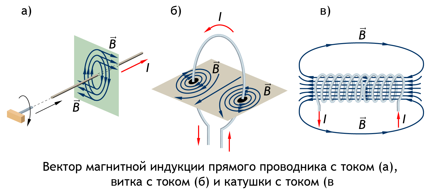 Изобразить магнитное поле витка с током. Вектор магнитного поля прямого проводника. Вектор магнитной индукции прямого проводника. Линии магнитной индукции прямого проводника. Силовые линии магнитного поля рамки с током.