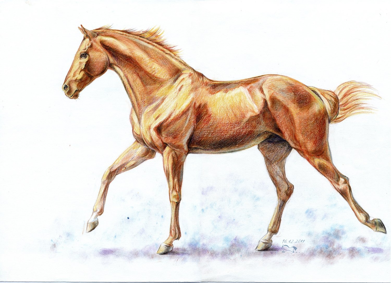Лошадь картинки рисунки. Конь рисунок. Нарисовать лошадь. Зарисовки лошадей. Losad risunok.