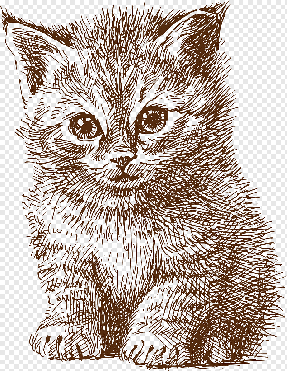 Графический рисунок кошка