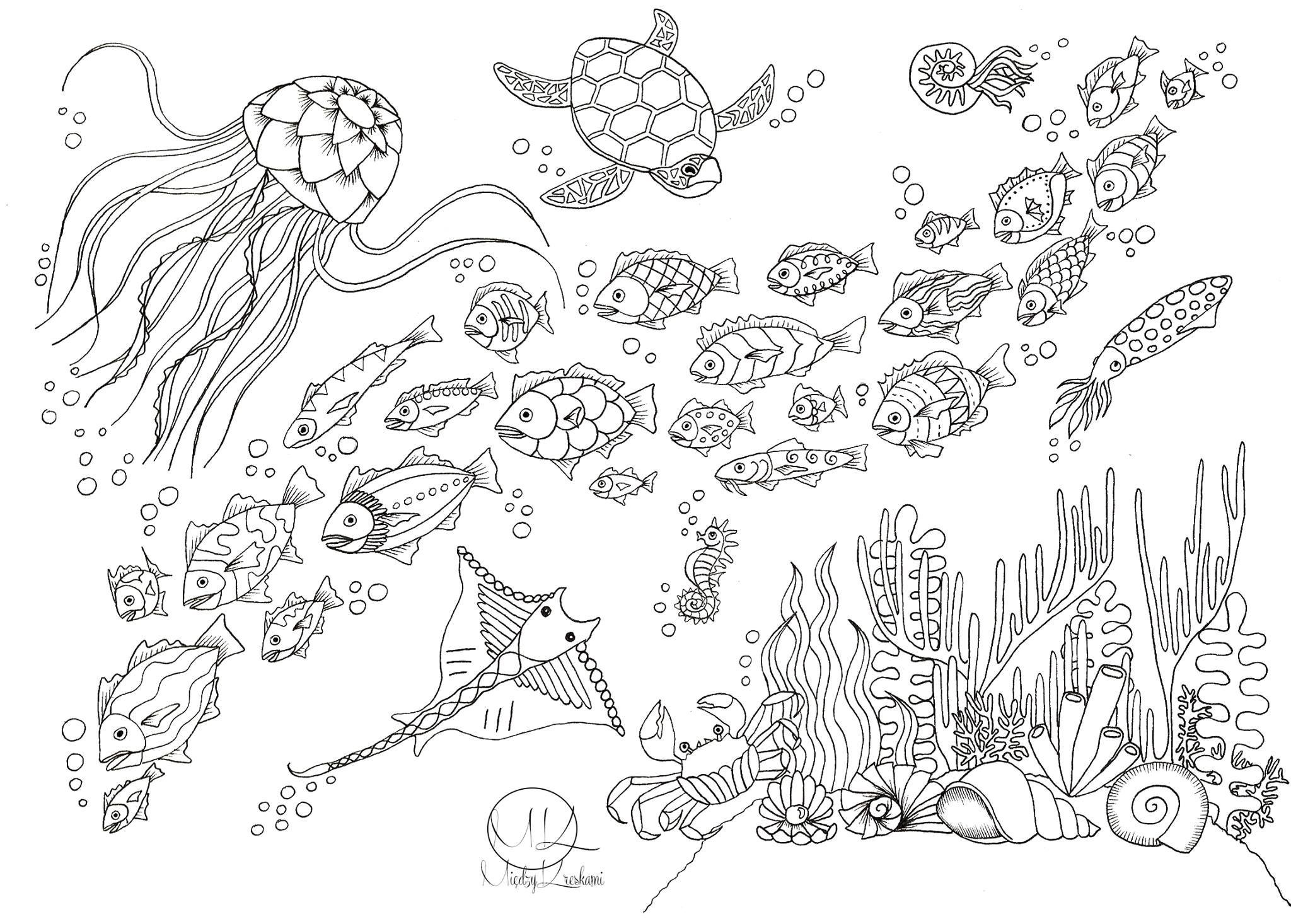 Рисунки на морскую тематику для детей - фото и картинки пластиковыеокнавтольятти.рф
