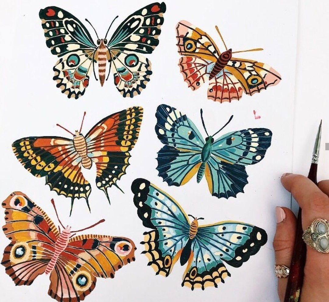 Рисунки бабочек и цветов цветные