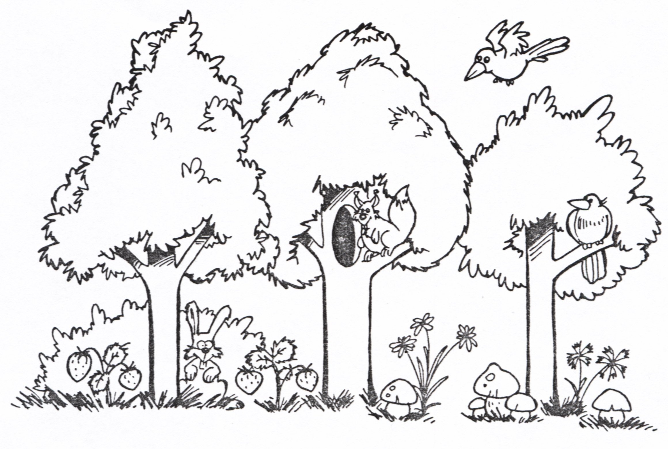 Лес рисунок карандашом для детей