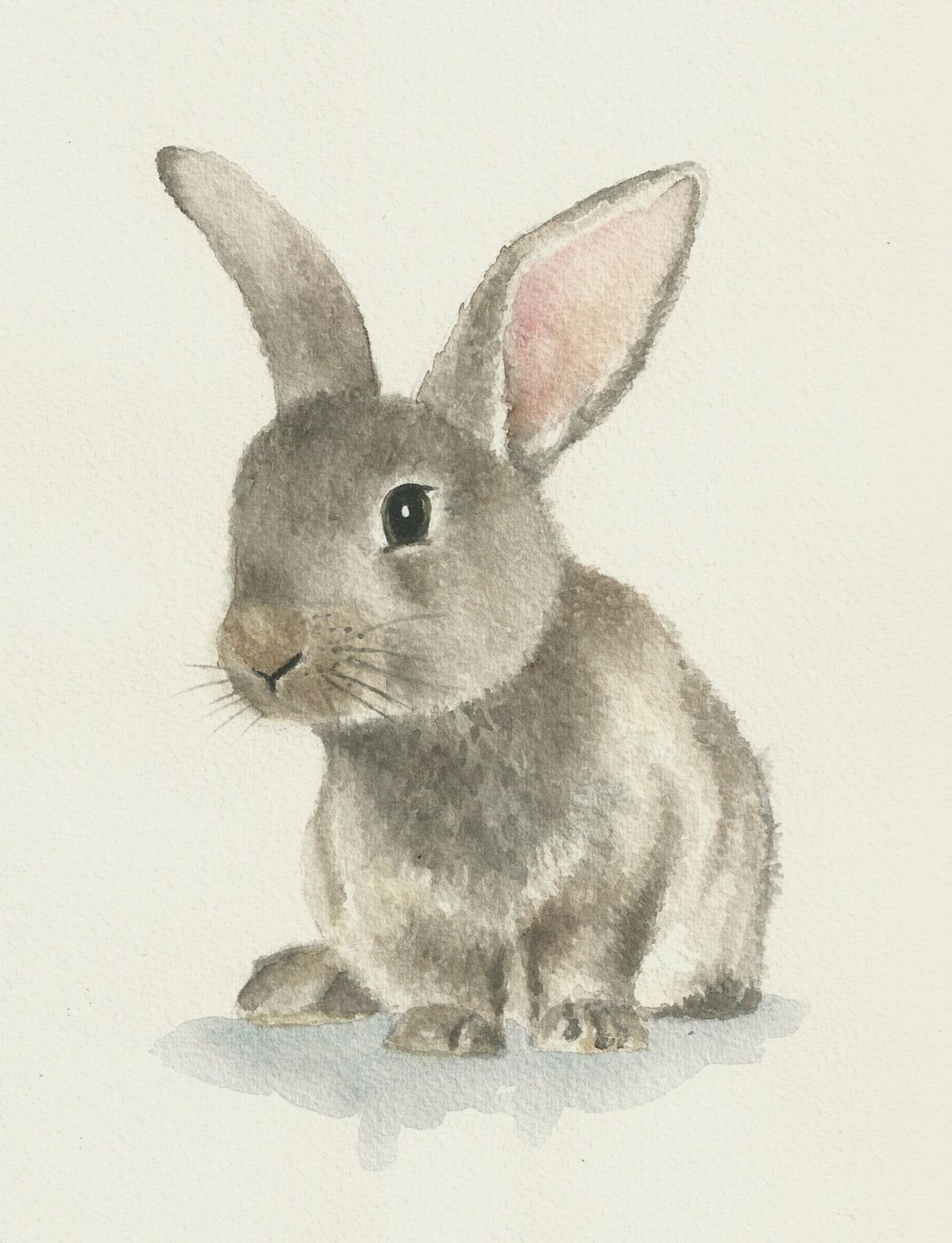 Заяц картинки нарисованные. Заяц цветными карандашами. Кролик рисунок. Зайчик рисунок. Зайчонок рисунок.